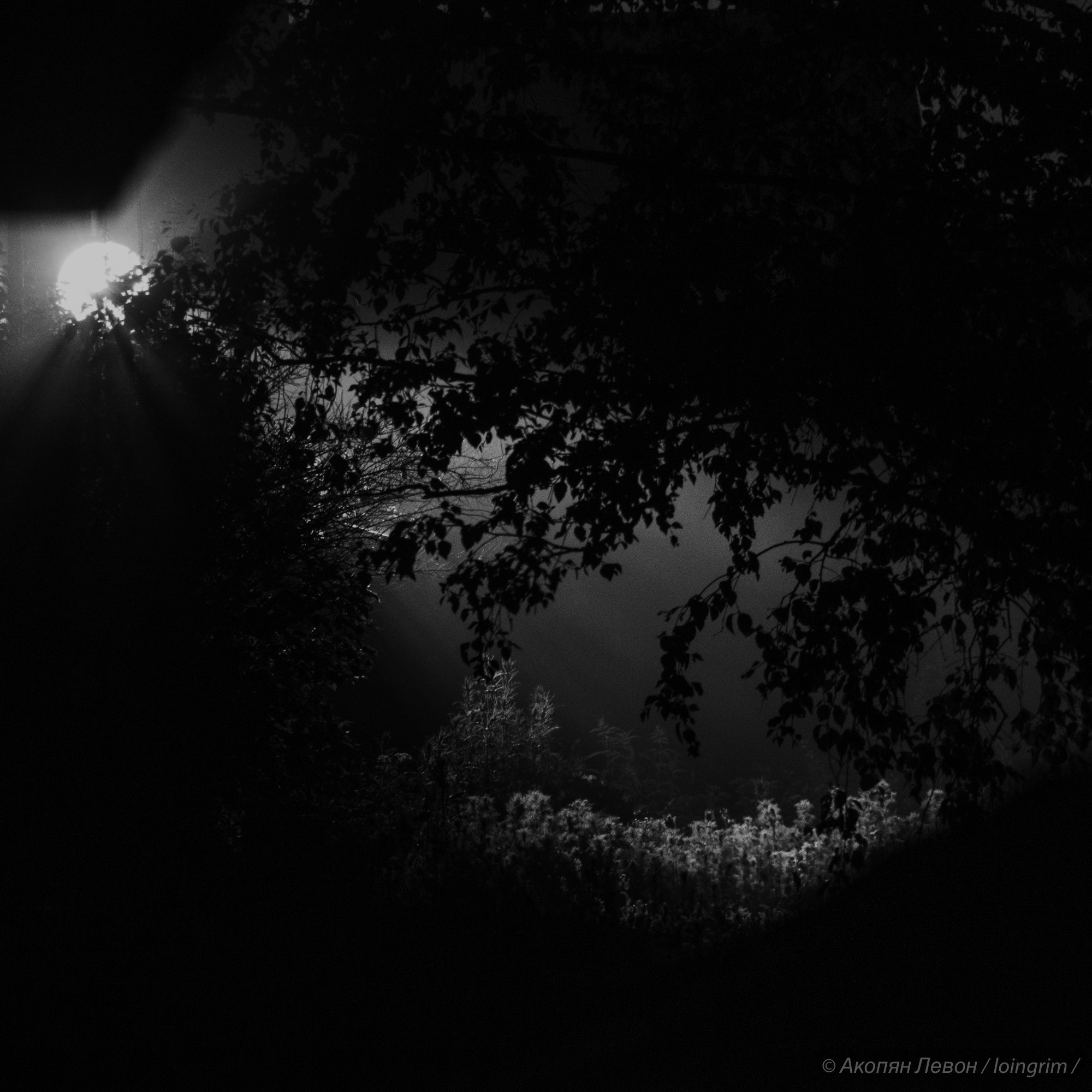 На злобу дня. Loingrim — Свободный художник. Снимаю в своё удовольствие