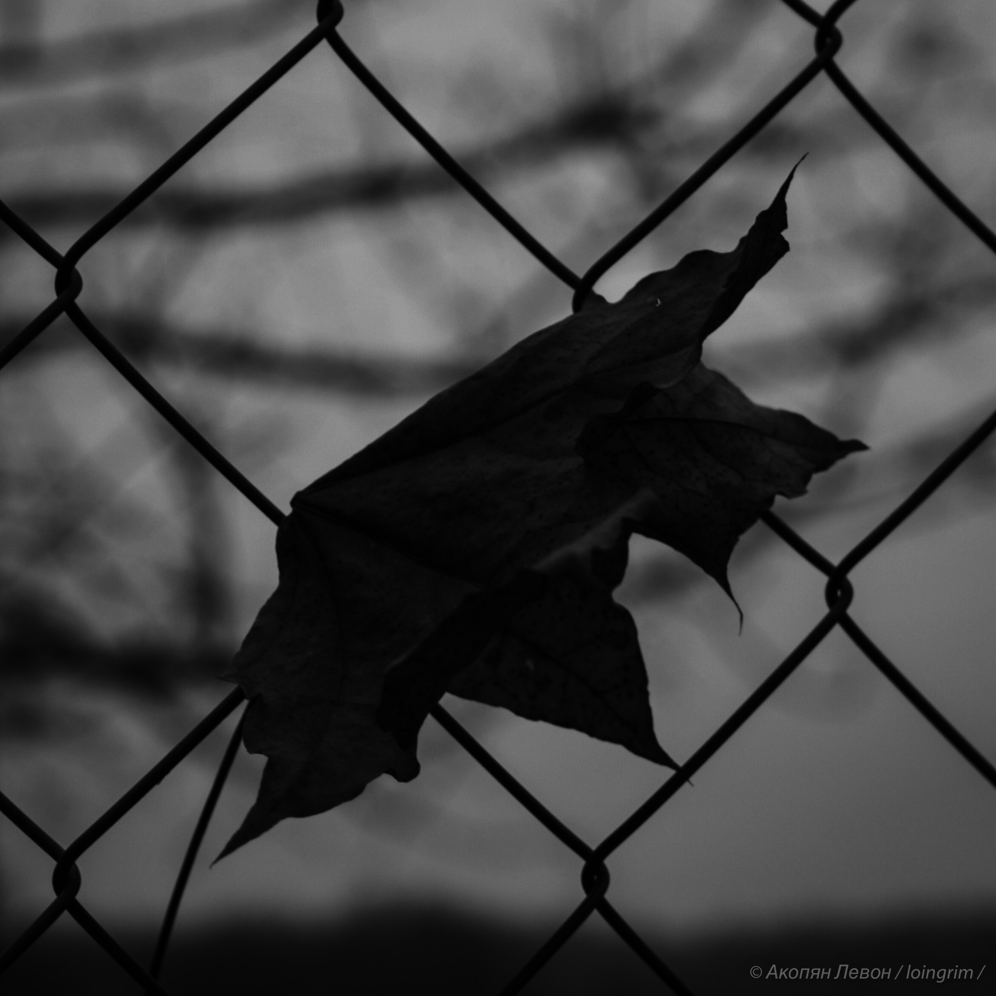 На злобу дня. Loingrim — Свободный художник. Снимаю в своё удовольствие