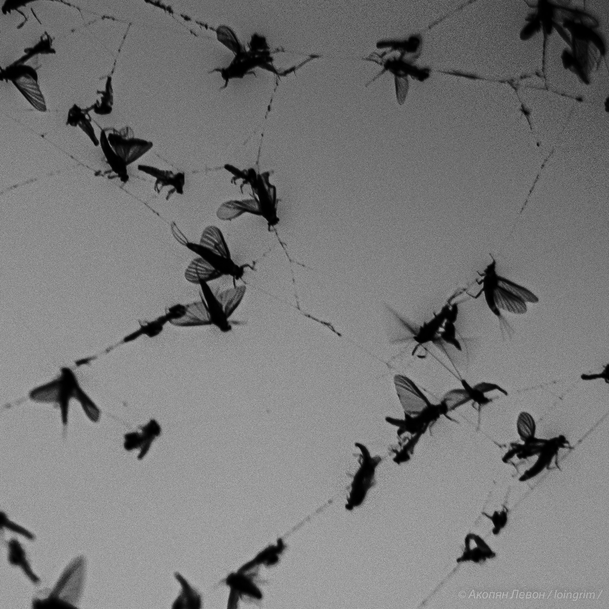 На злобу дня. Loingrim — Свободный художник. Снимаю в своё удовольствие