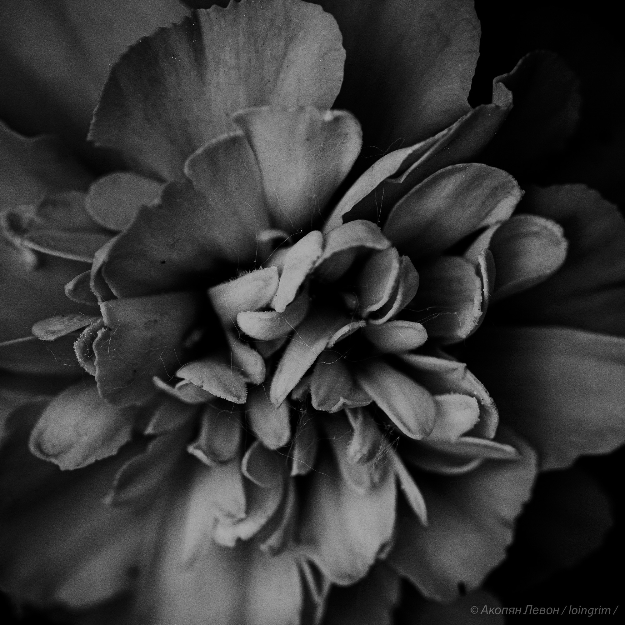 На злобу дня. Loingrim — Свободный художник. Снимаю в своё удовольствие