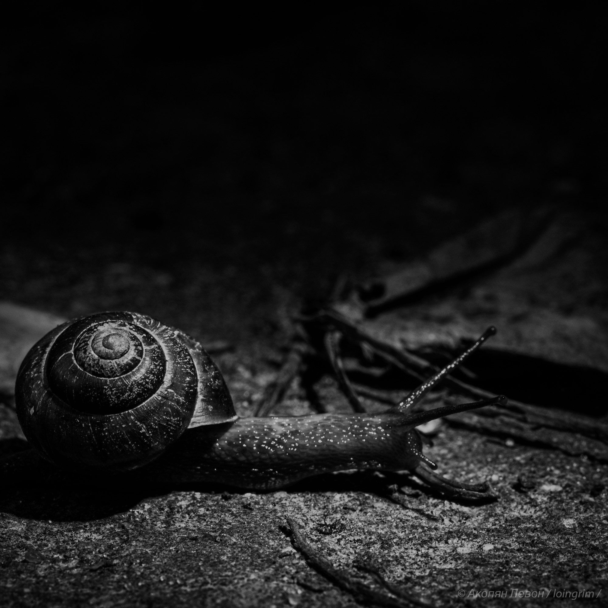 На злобу дня. Loingrim — Свободный художник. Снимаю в своё удовольствие