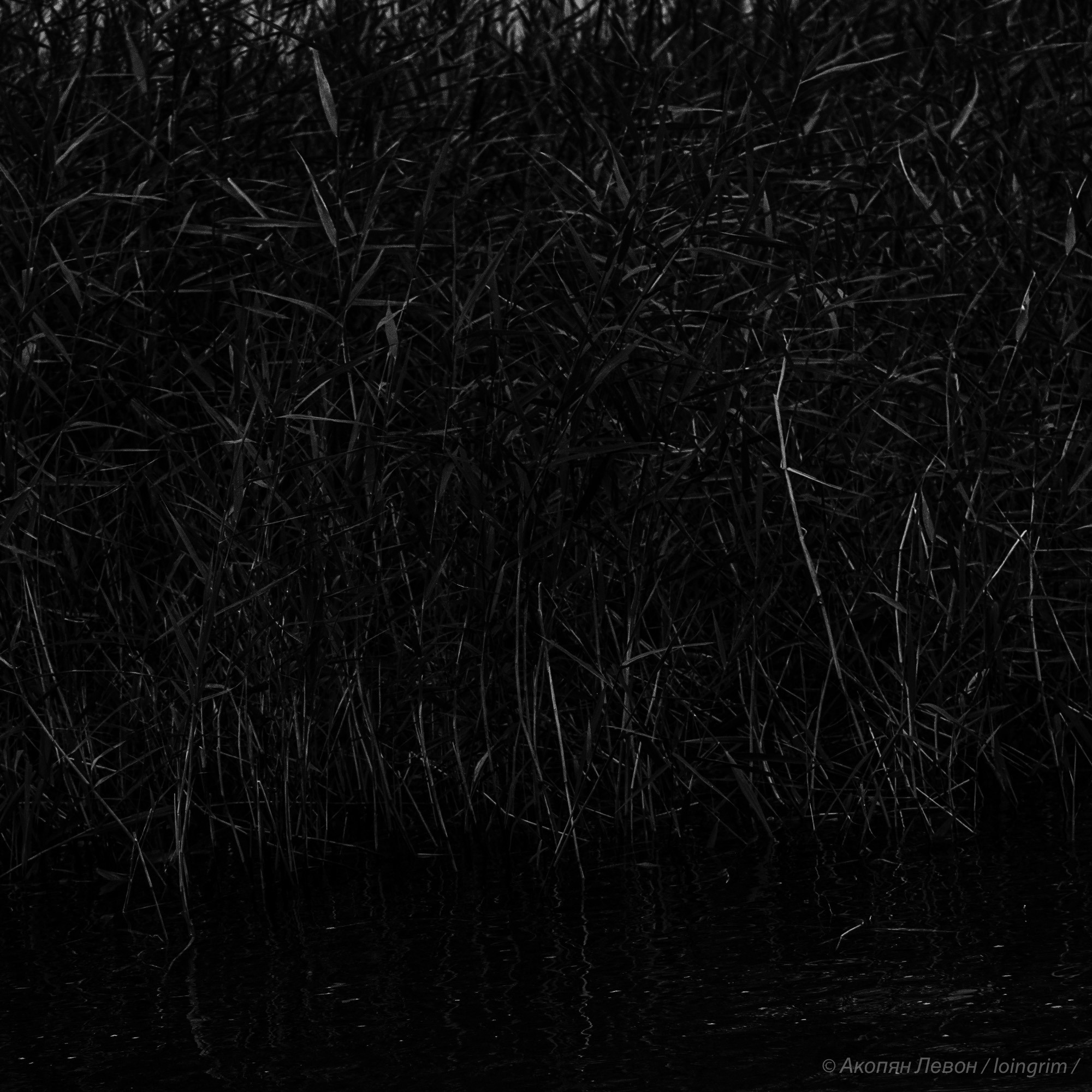 На злобу дня. Loingrim — Свободный художник. Снимаю в своё удовольствие