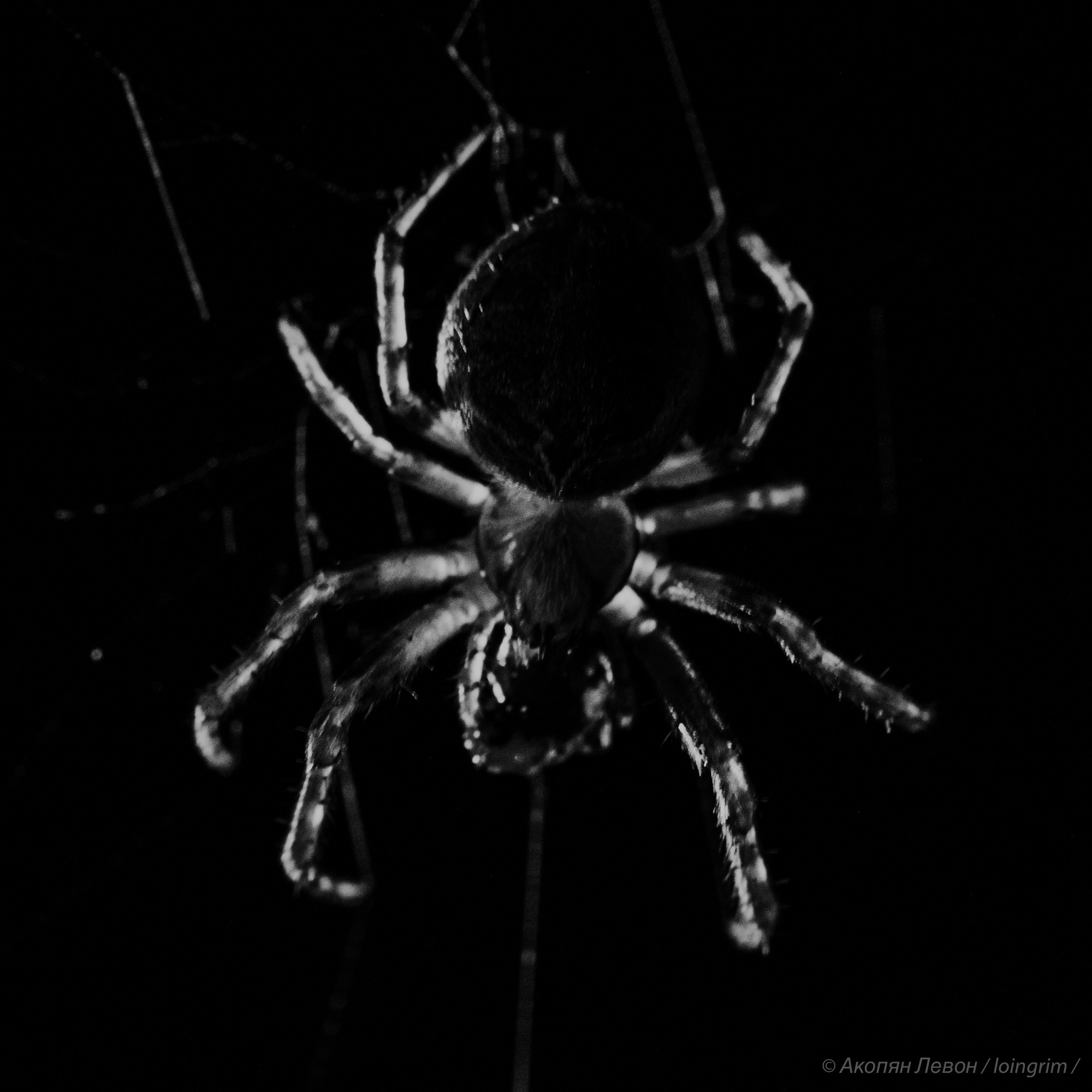 На злобу дня. Loingrim — Свободный художник. Снимаю в своё удовольствие