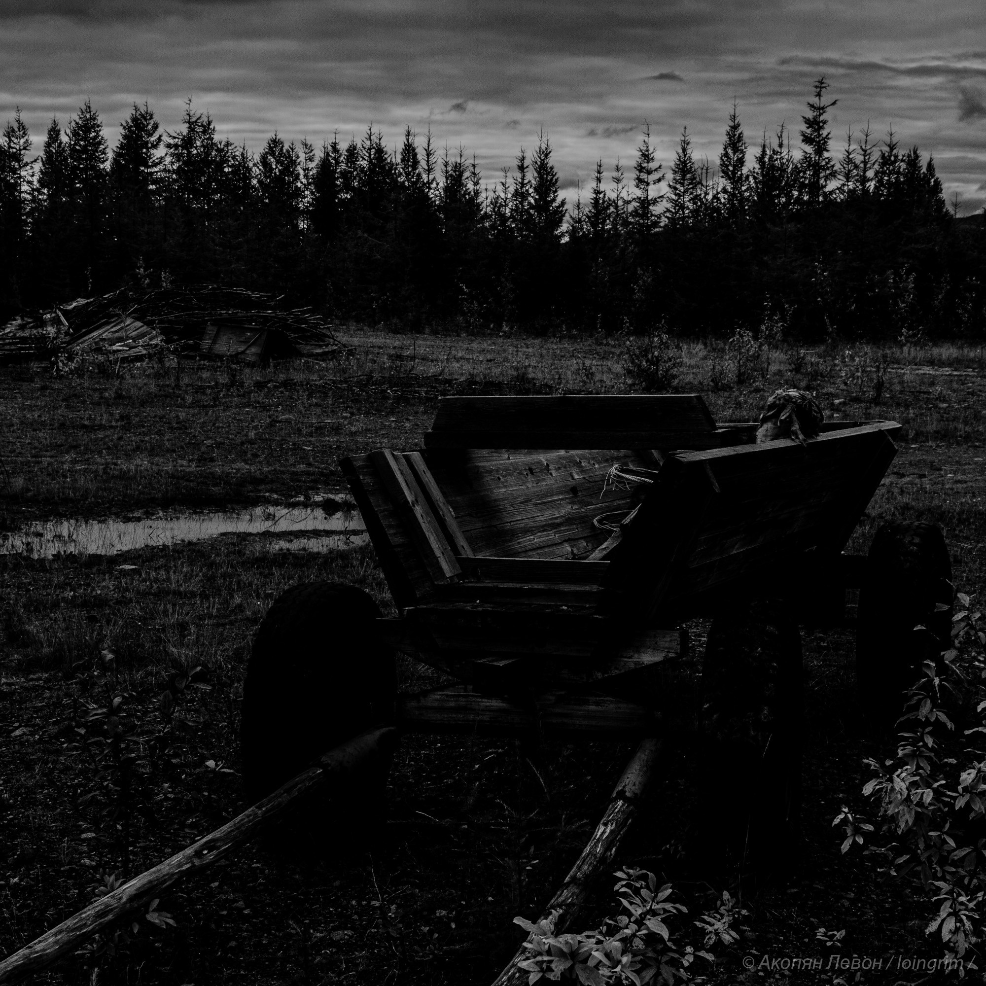 На злобу дня. Loingrim — Свободный художник. Снимаю в своё удовольствие