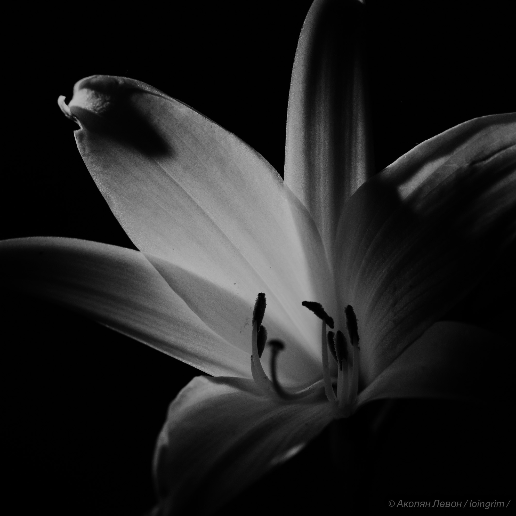 На злобу дня. Loingrim — Свободный художник. Снимаю в своё удовольствие