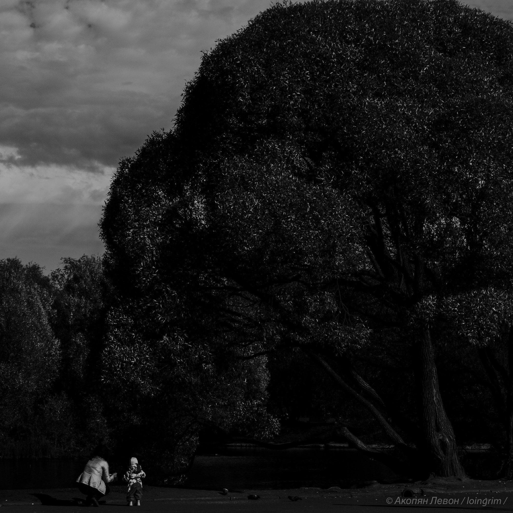 На злобу дня. Loingrim — Свободный художник. Снимаю в своё удовольствие