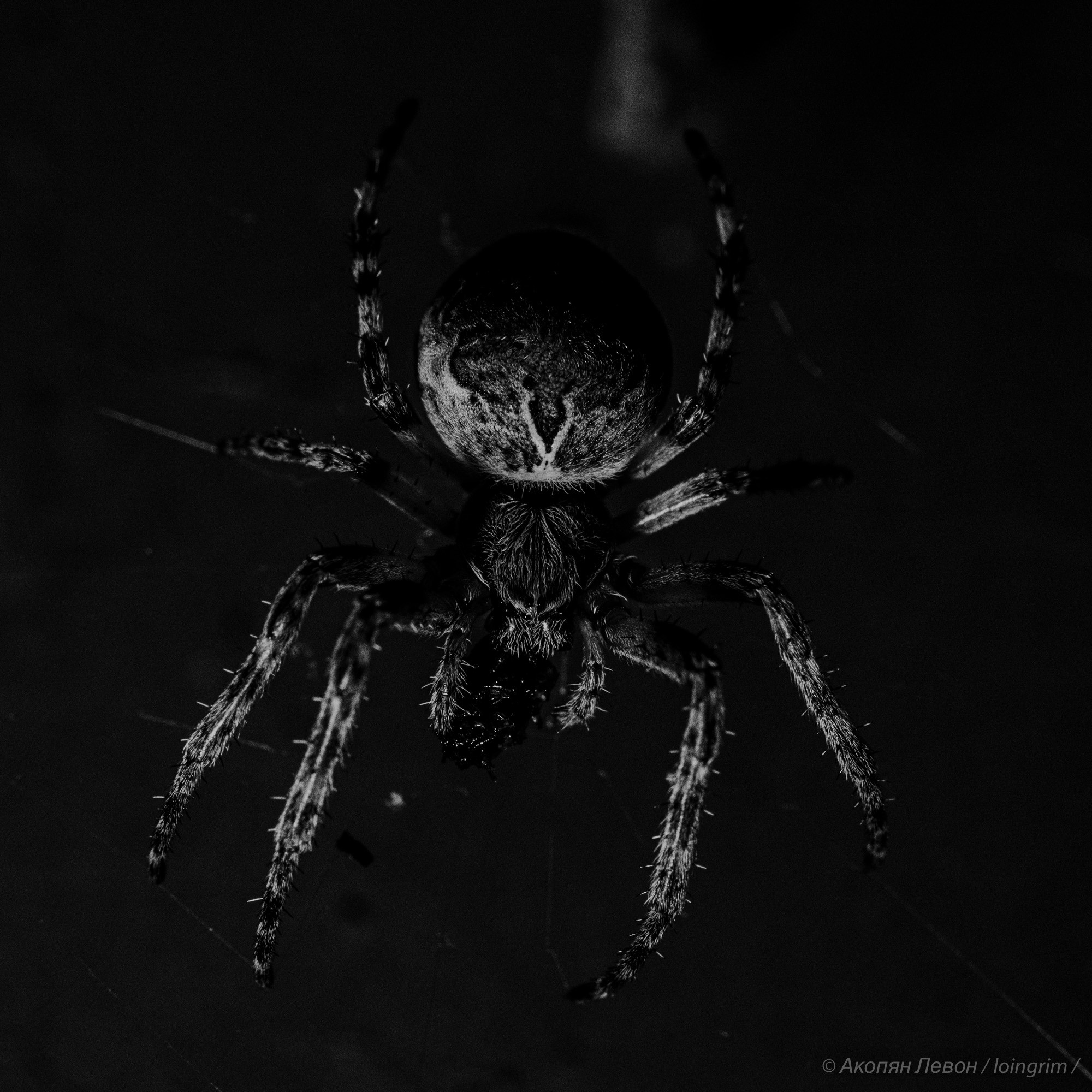 На злобу дня. Loingrim — Свободный художник. Снимаю в своё удовольствие