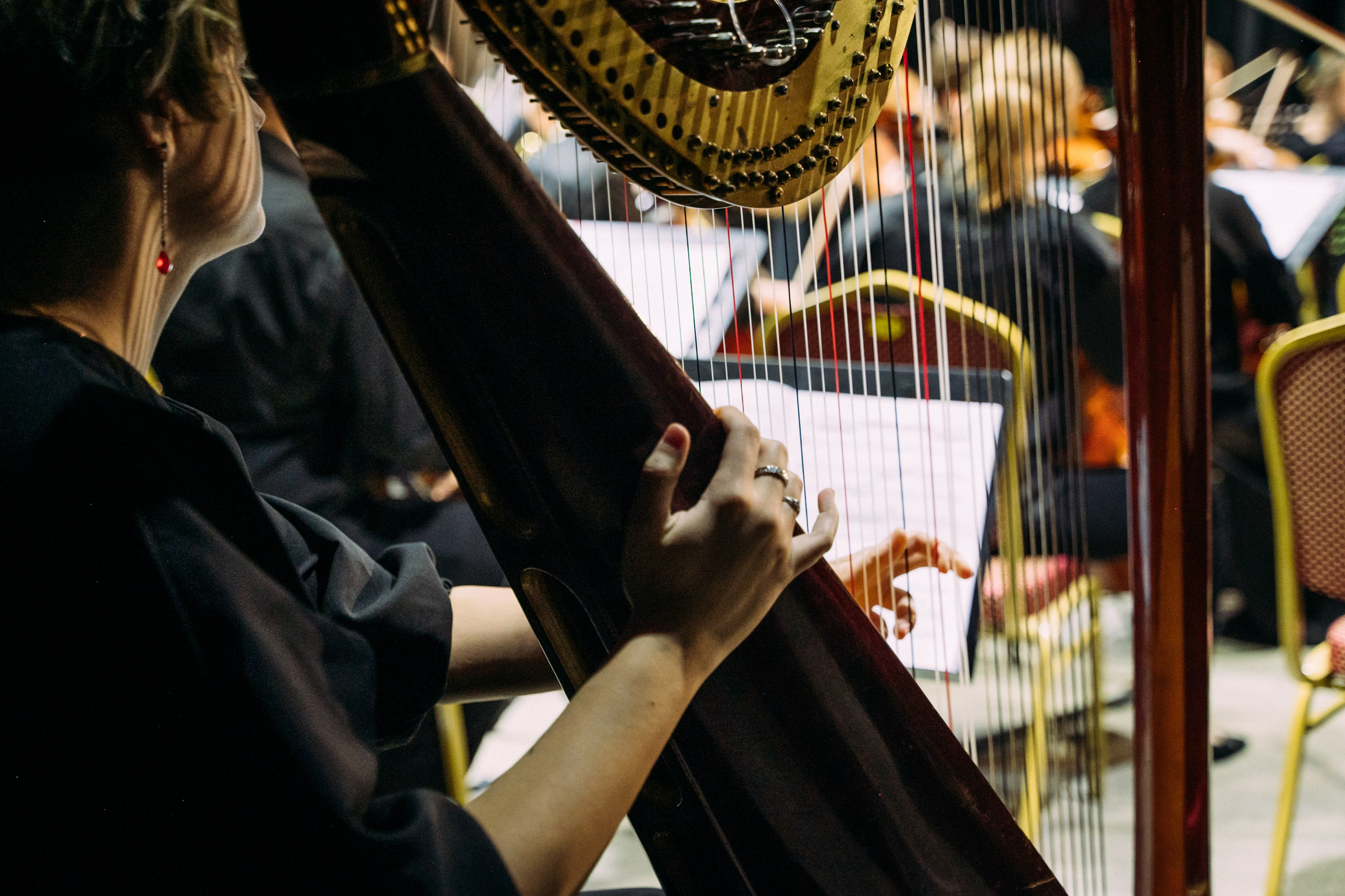 Симфонический оркестр. Фотограф в Волгограде Марина Черных