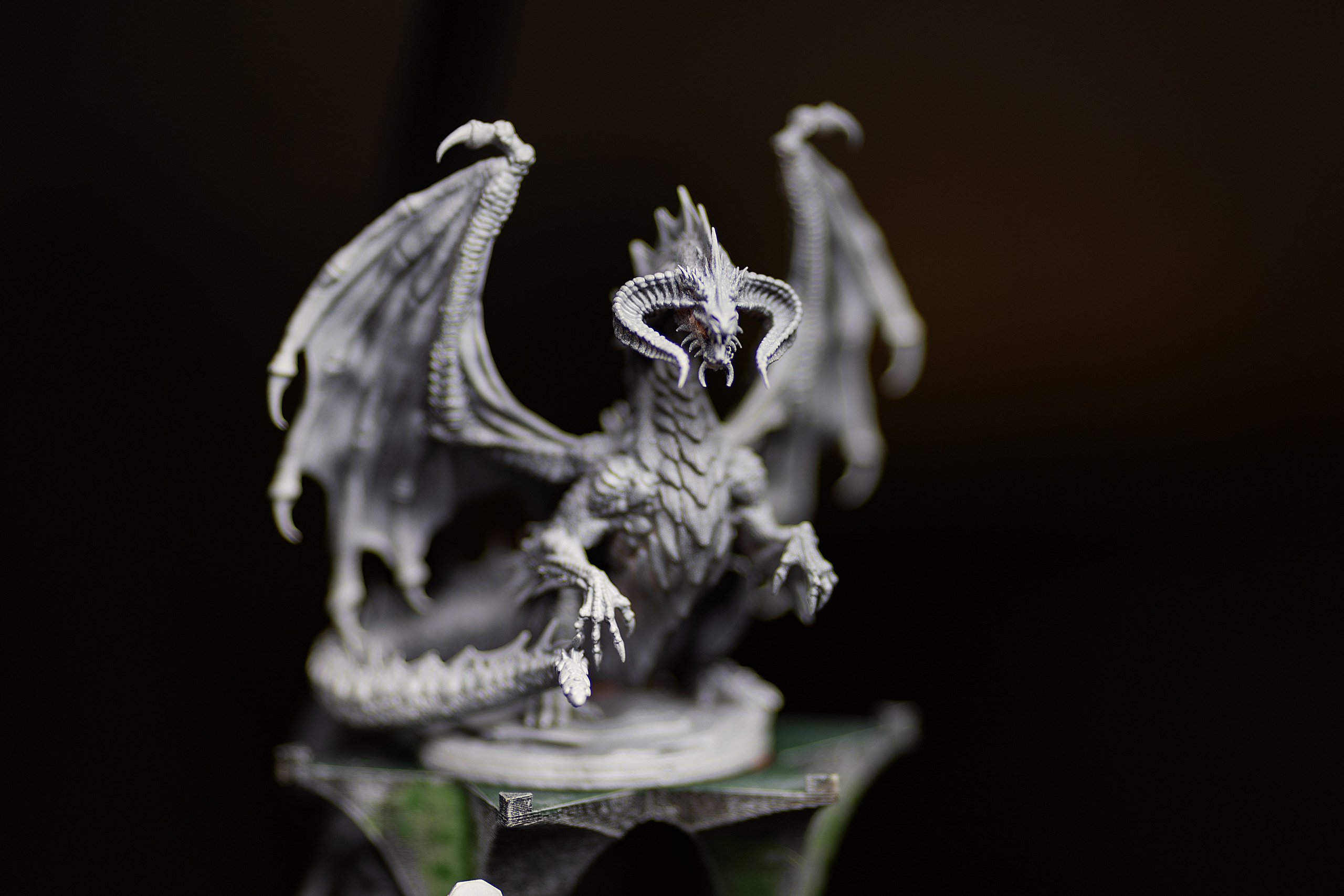 SnowDice | Санкт-Петербург, 2025. Репортажный фотограф