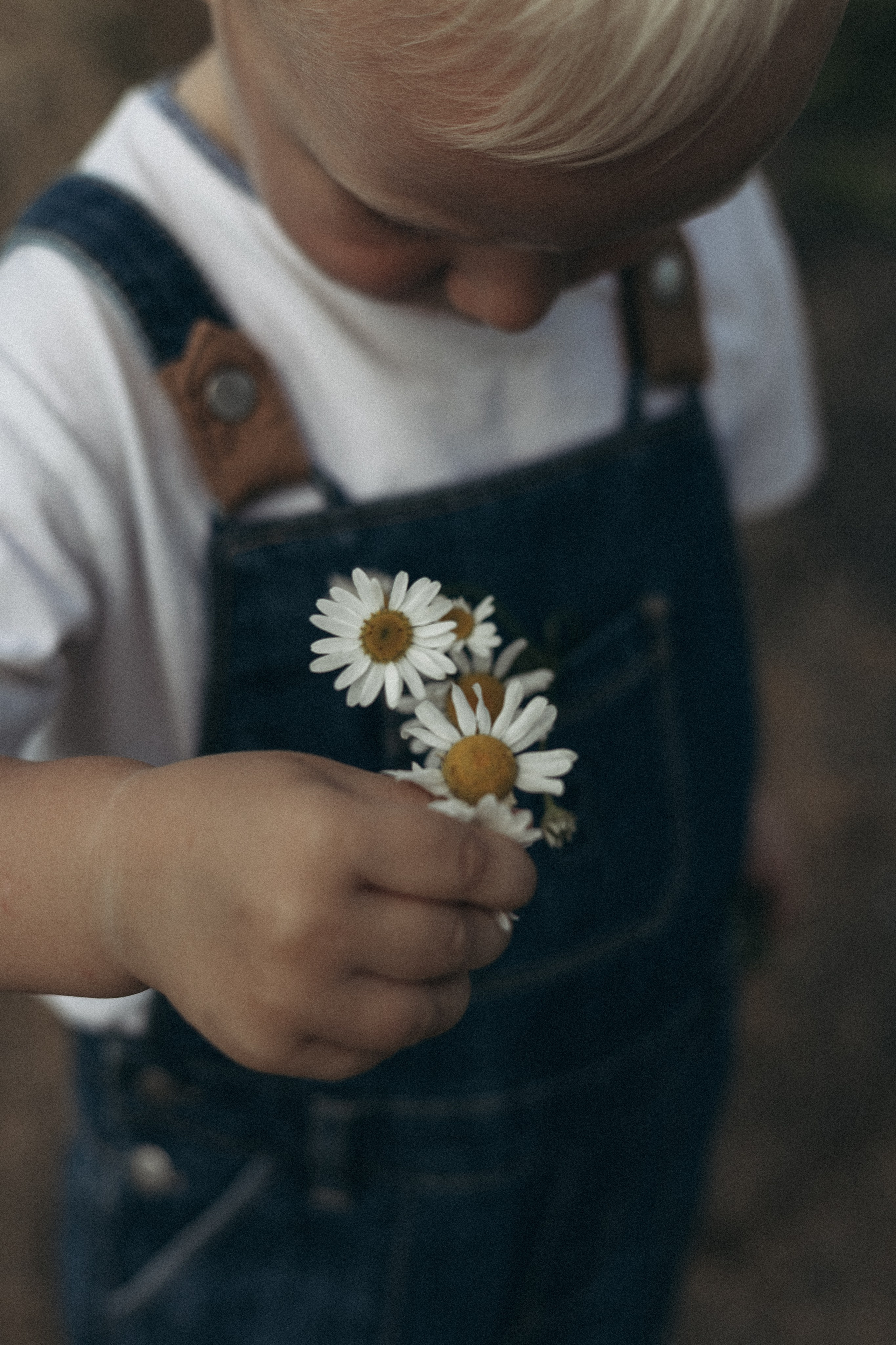 Ира и Тёма. Анастасия Шаповалова | Семейный фотограф