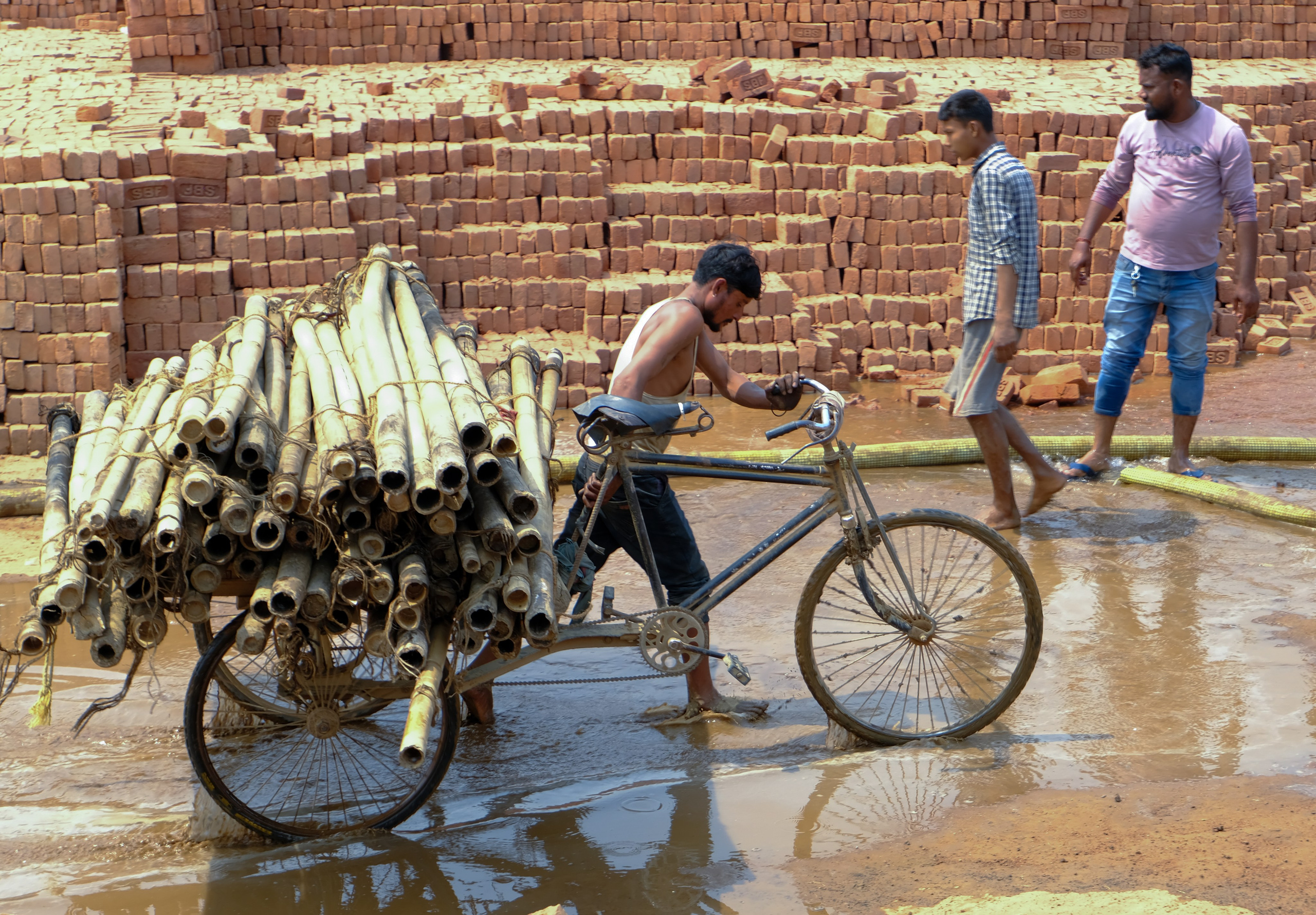 Индия штат Ассам день 2-й. Фотографии из путешествий