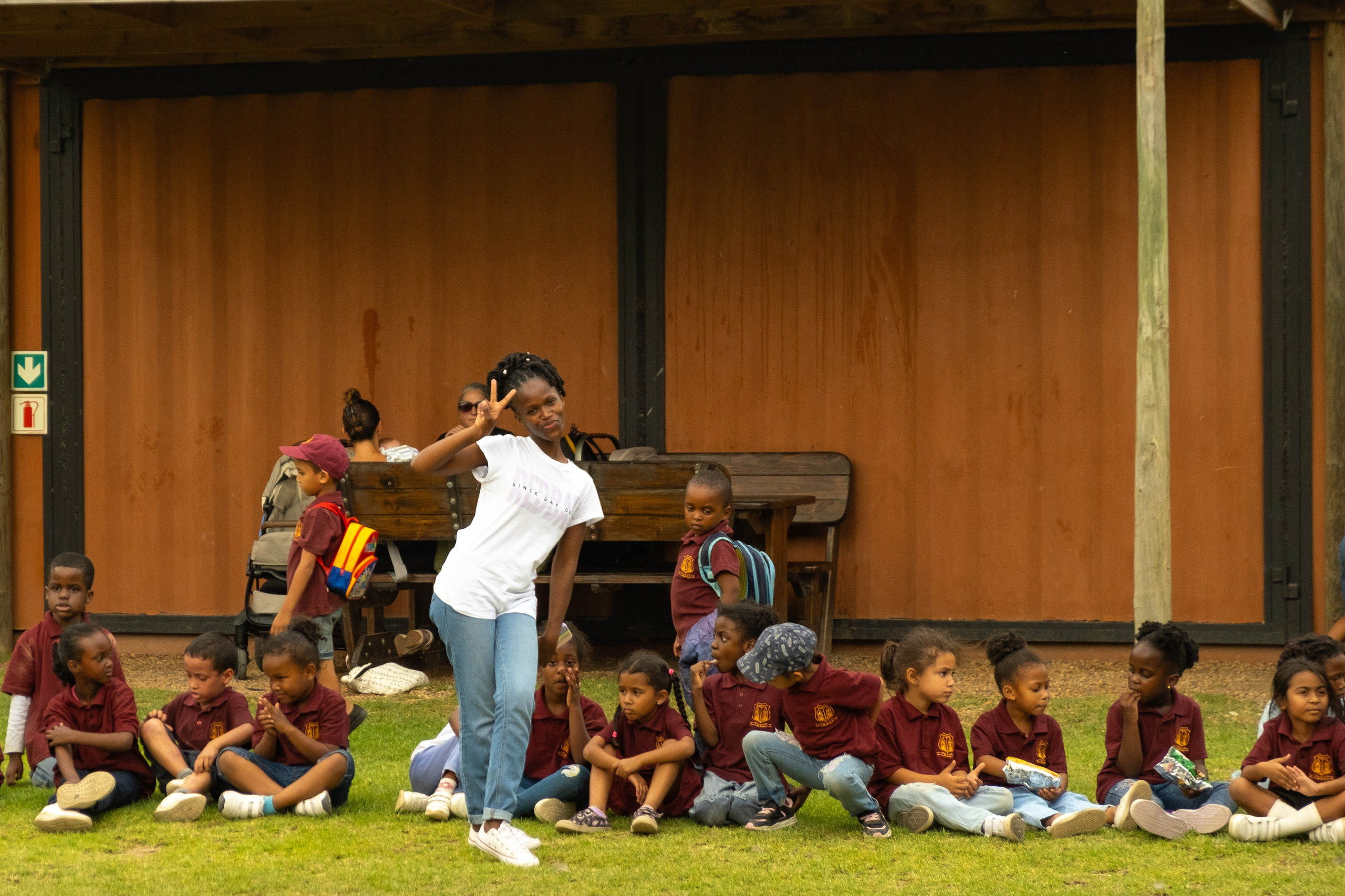 Пингвины и другие. Фотографии из путешествий