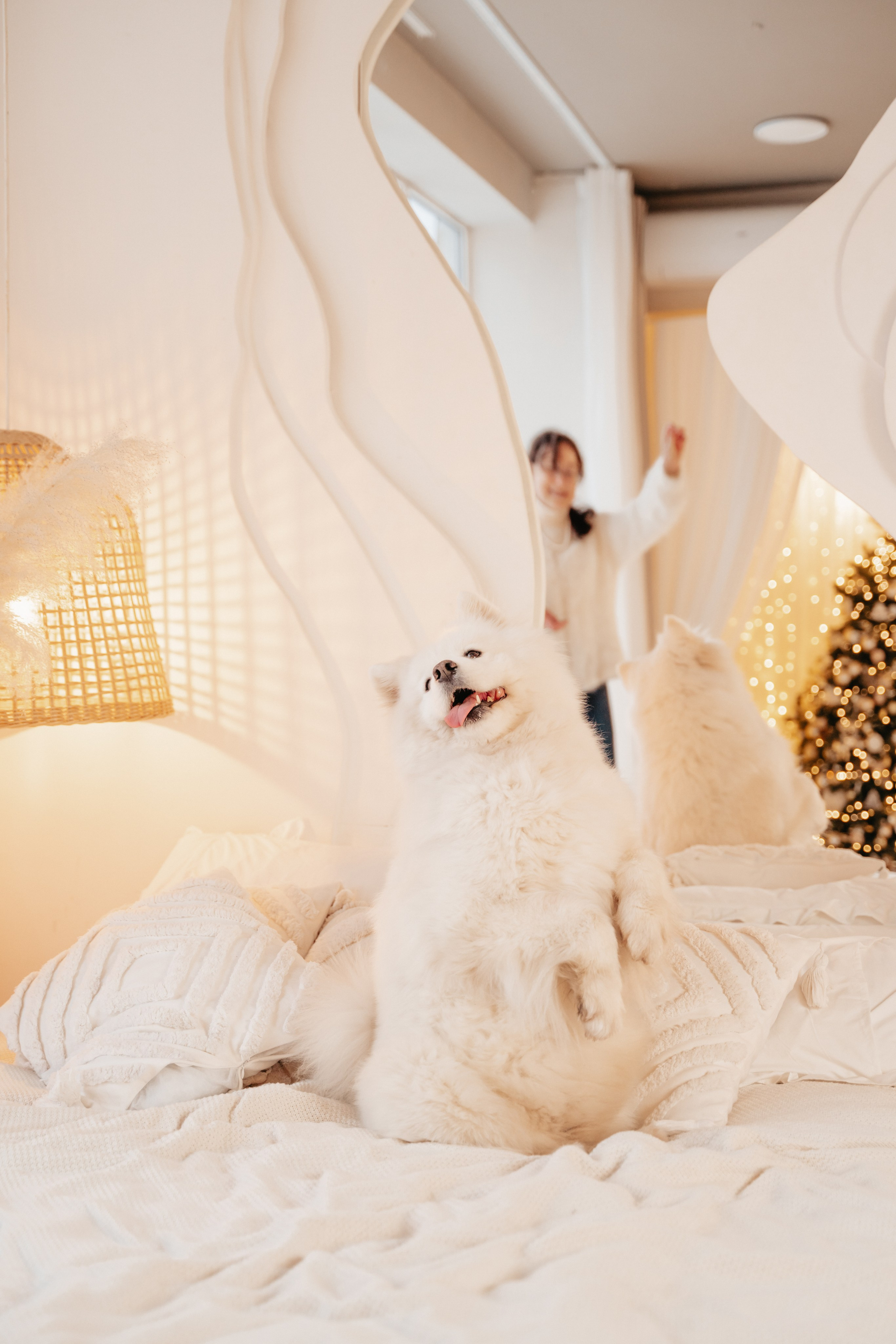 Съемка с животными. Питерский фотограф Светлана Ковалева