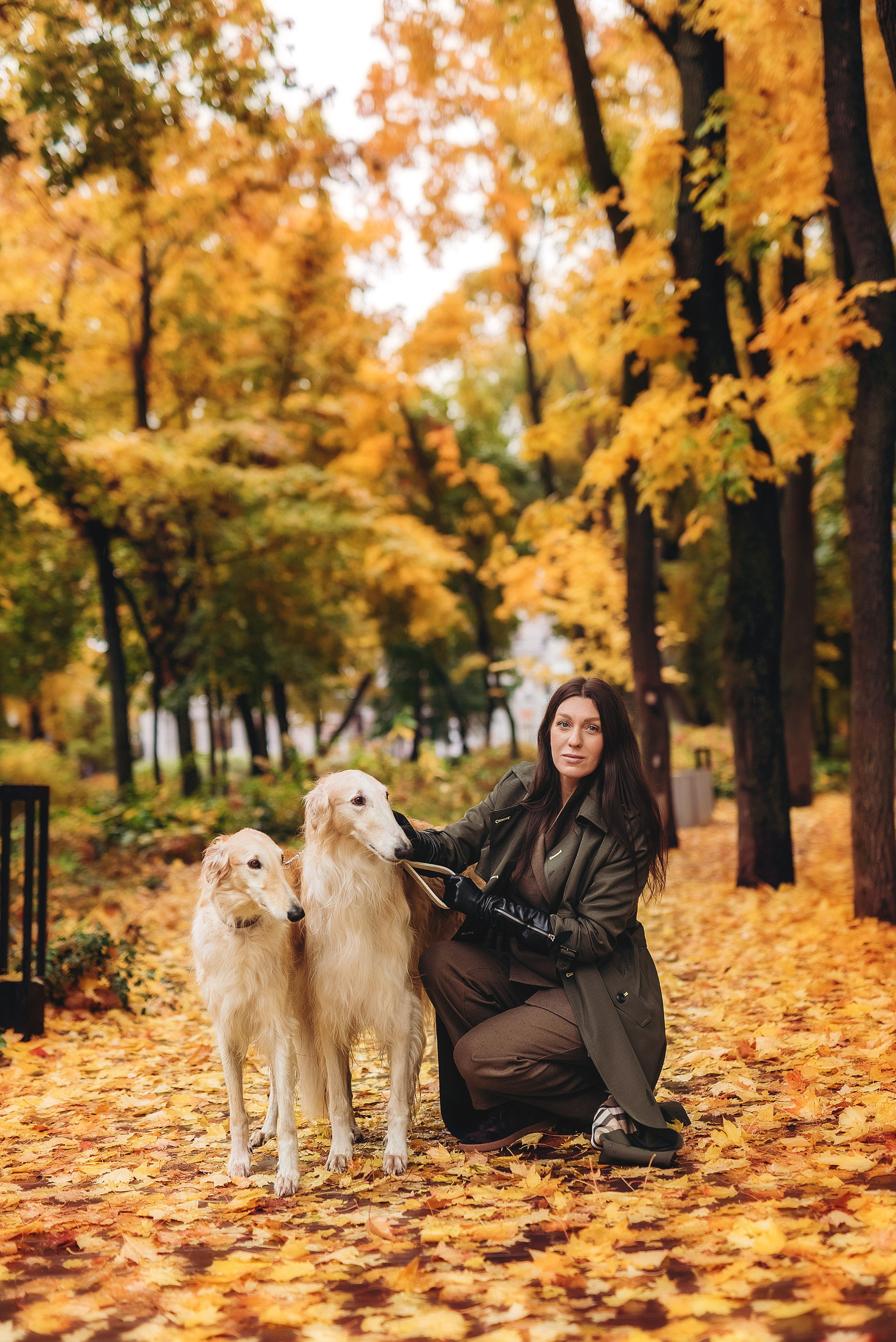Фотосессия с борзыми. Семейный, детский фотограф в Воронеже Анна Никитина