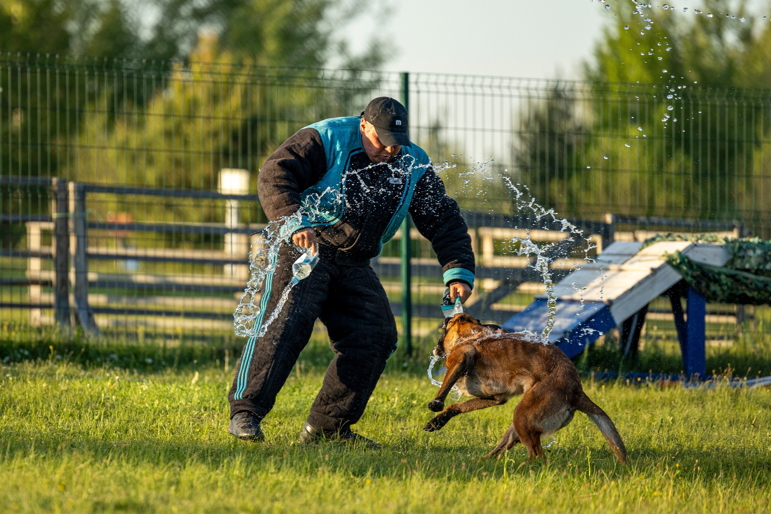 Испытания по мондьорингу в Нижнем Новгороде. Фотограф-анималист Анна Маринич