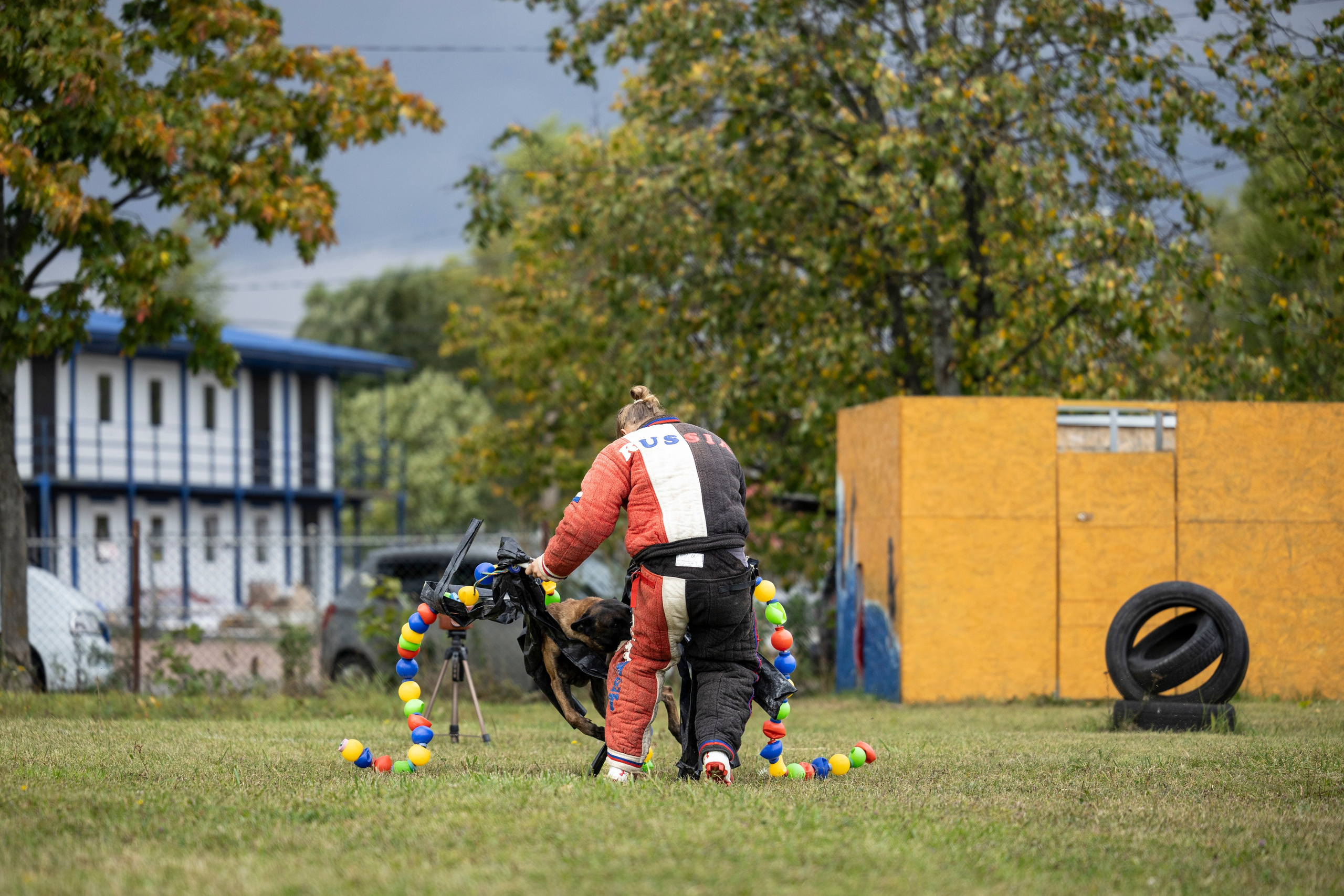 Испытания по Мондьорингу г. Пушкин. Фотограф-анималист Анна Маринич