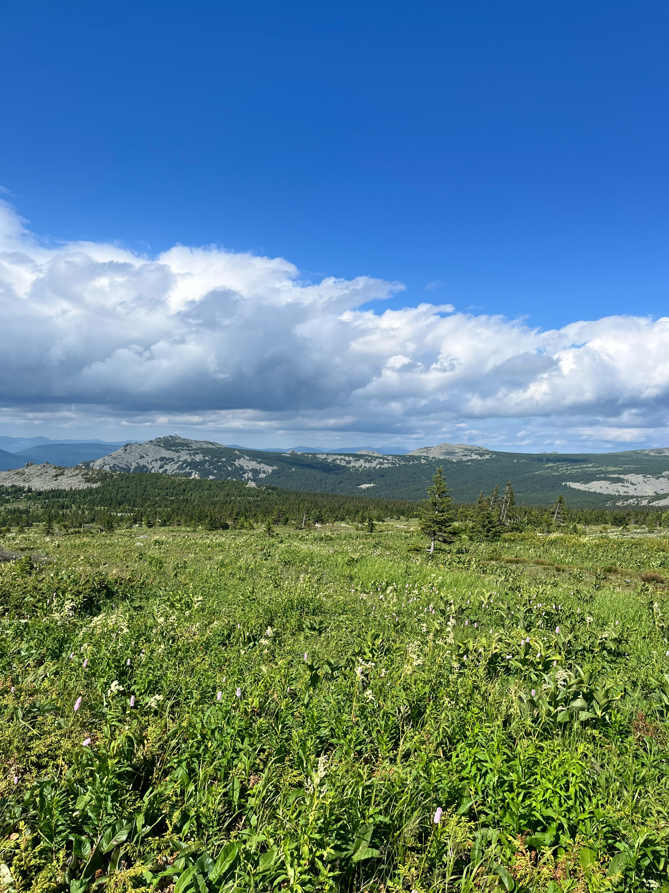 Фот с походов на Иремель — Время приключений