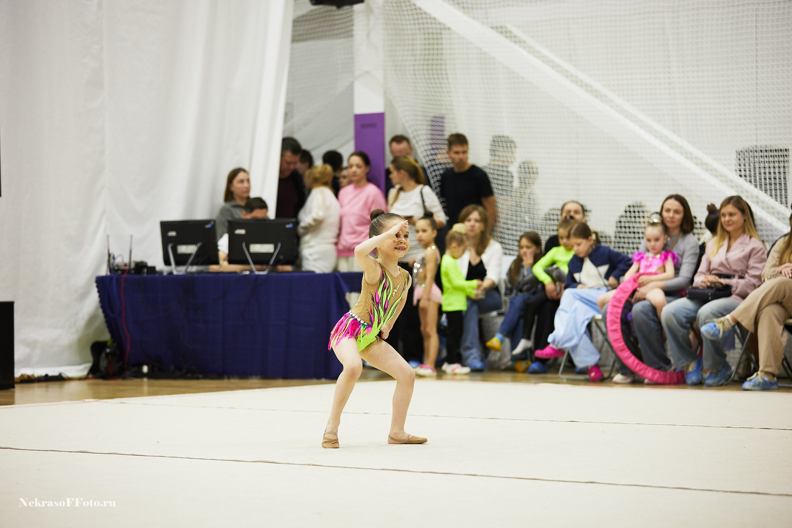 Художественная гимнастика. Спортивный фотограф Некрасов Денис