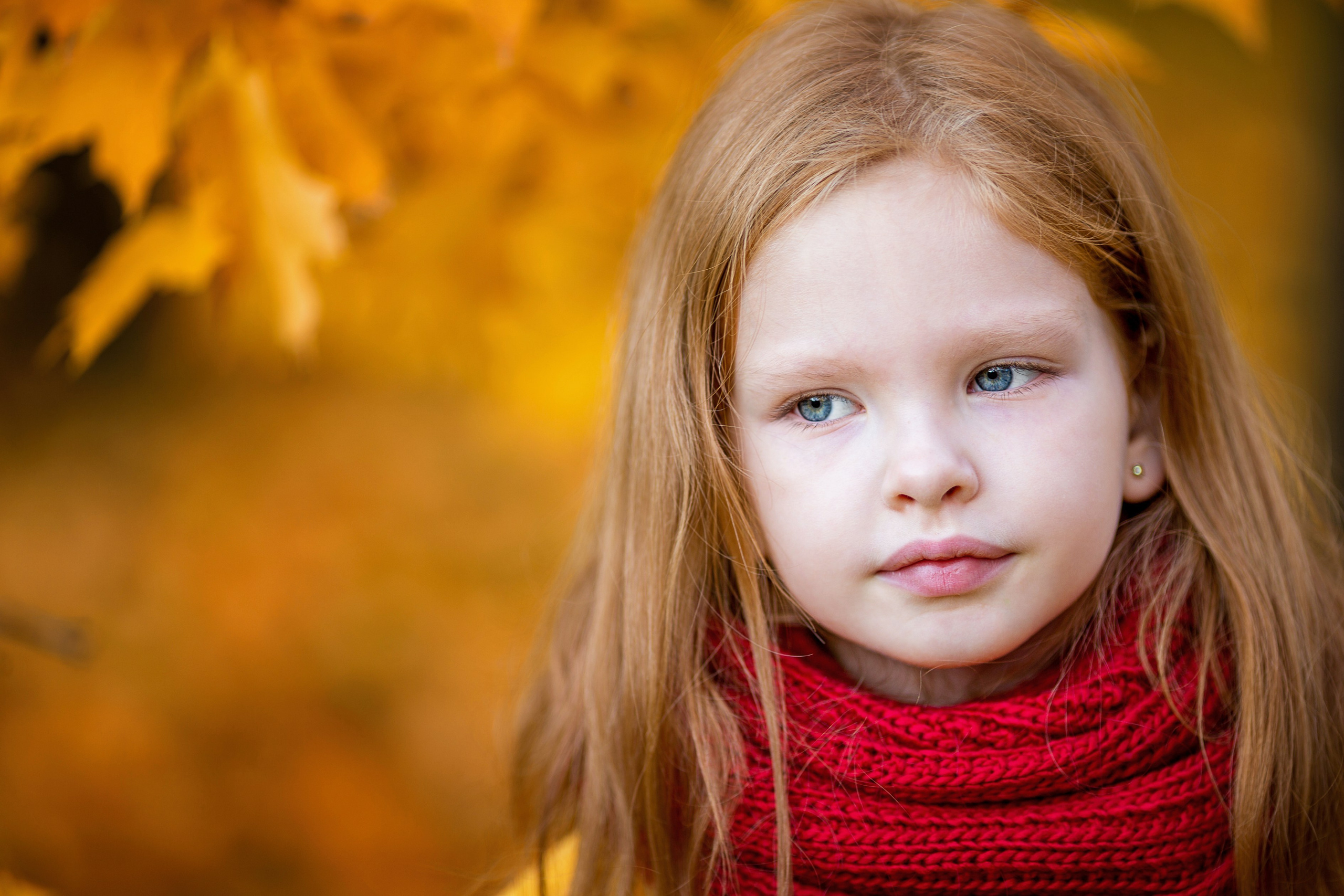 осень, осенний портрет