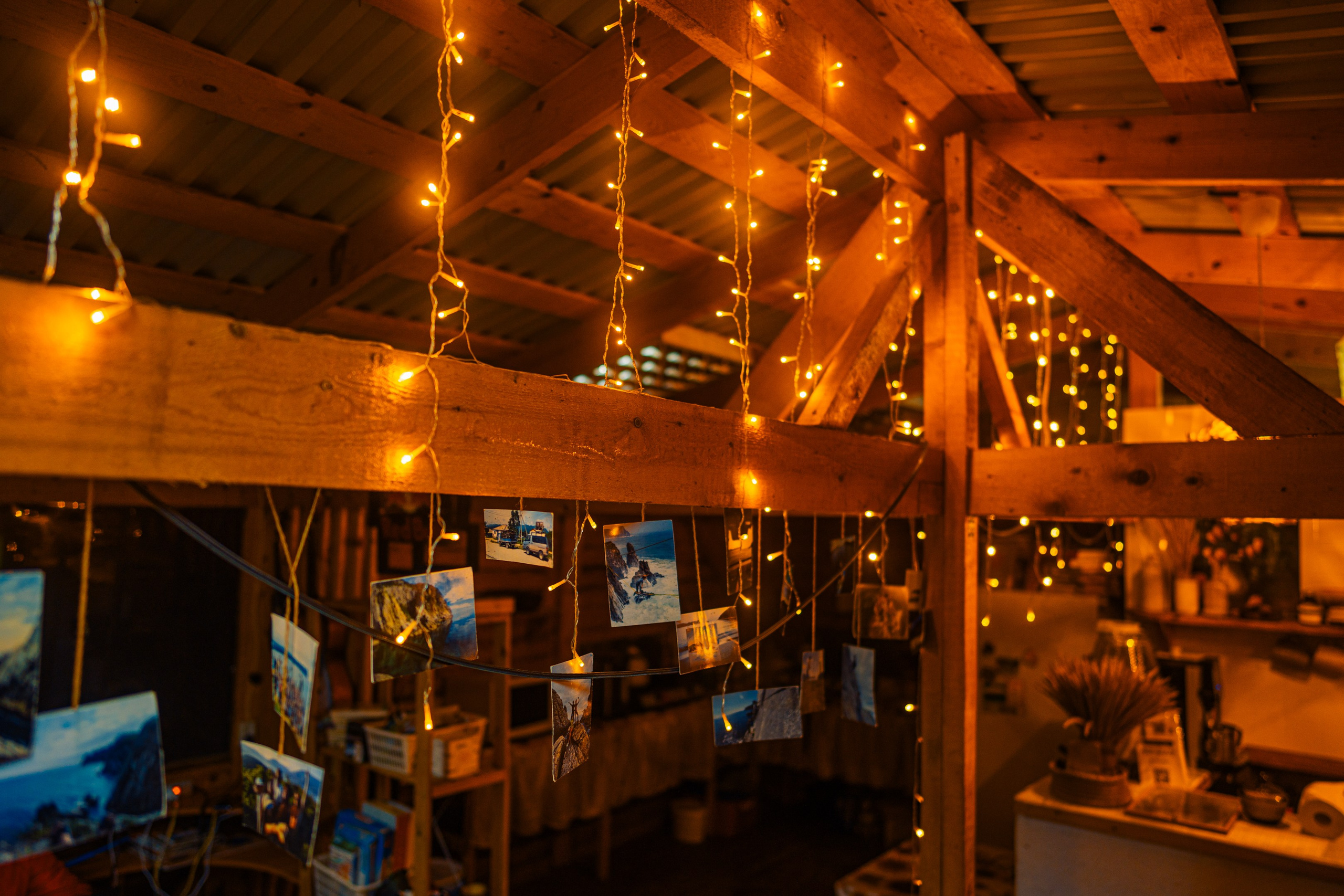 Бухта Валентин | Мыс Силина. Иван Зайцев (IZIART) — создание культурного кода через фото и видео