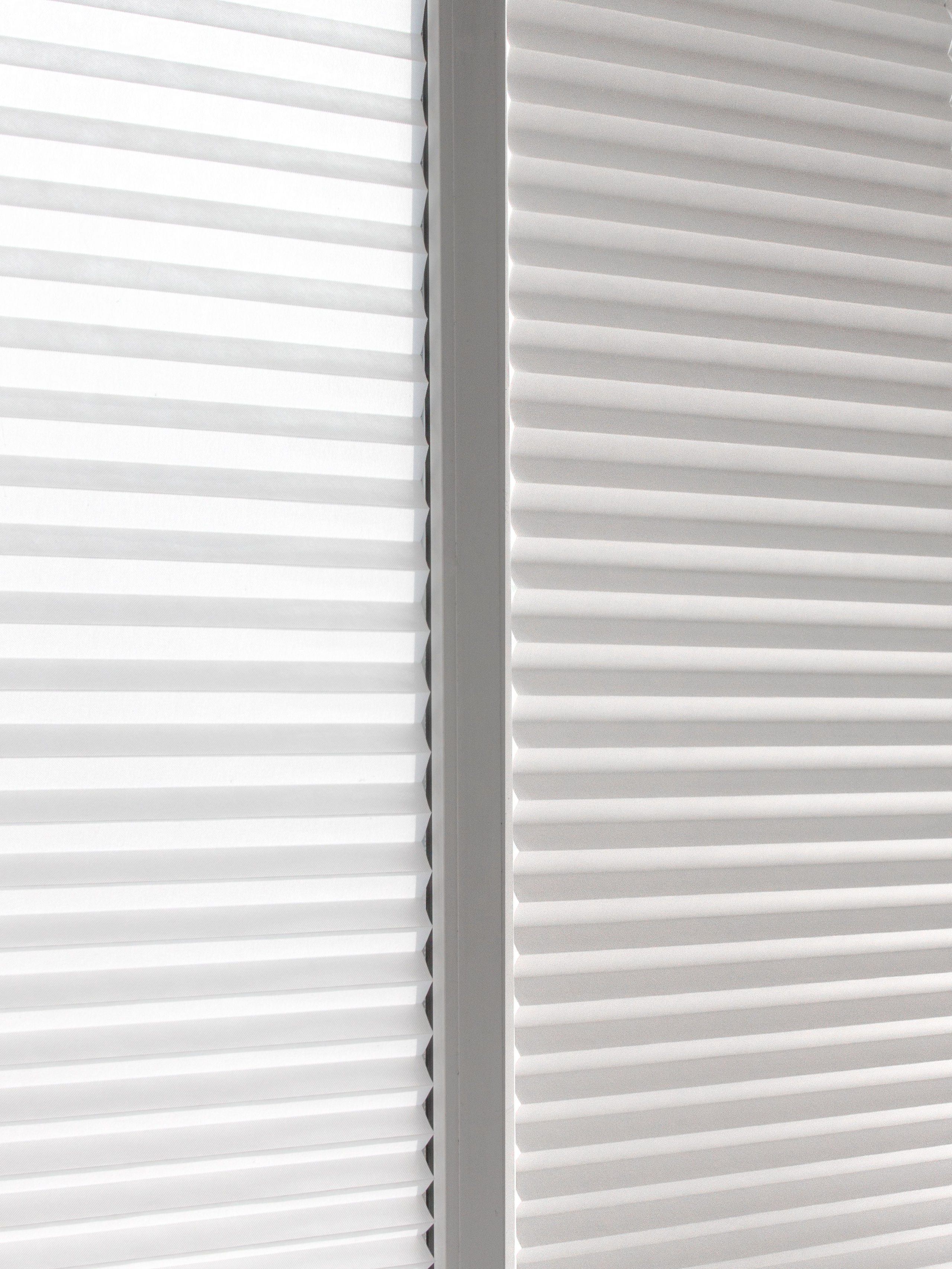 Жалюзи. Фотограф Злата Спицына