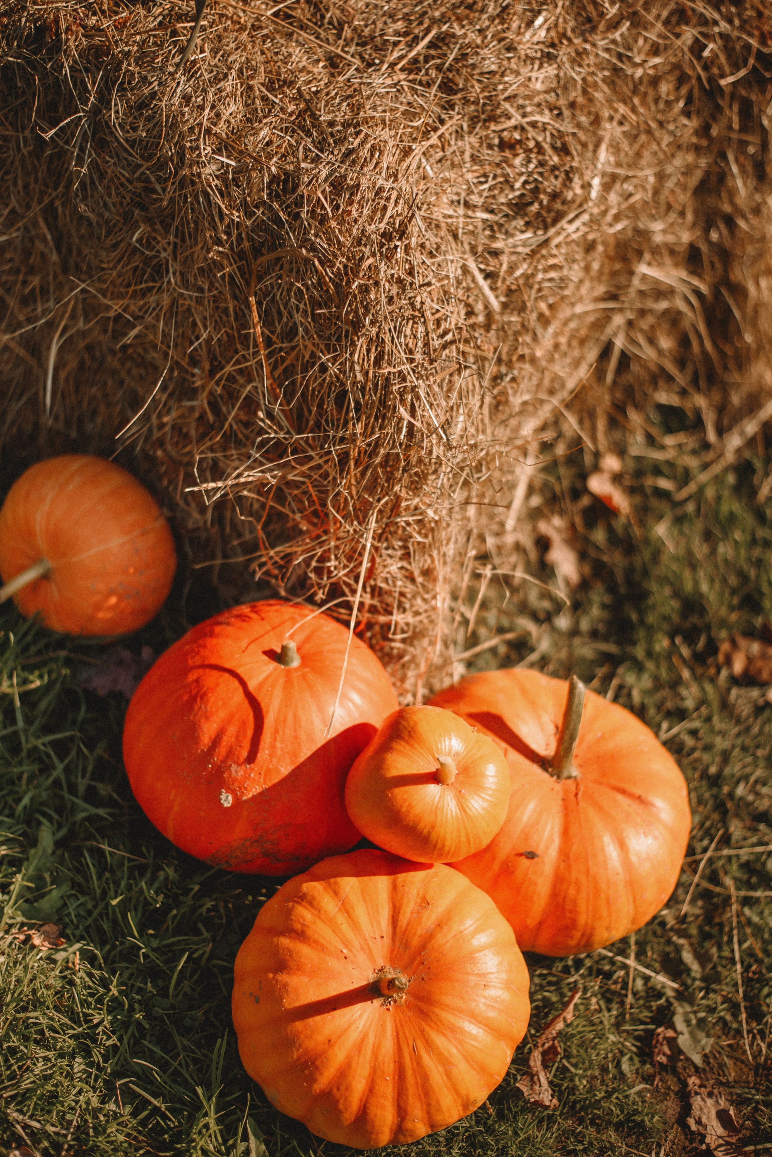 Осенняя Лера. Свадебный и портретный фотограф lifestyle