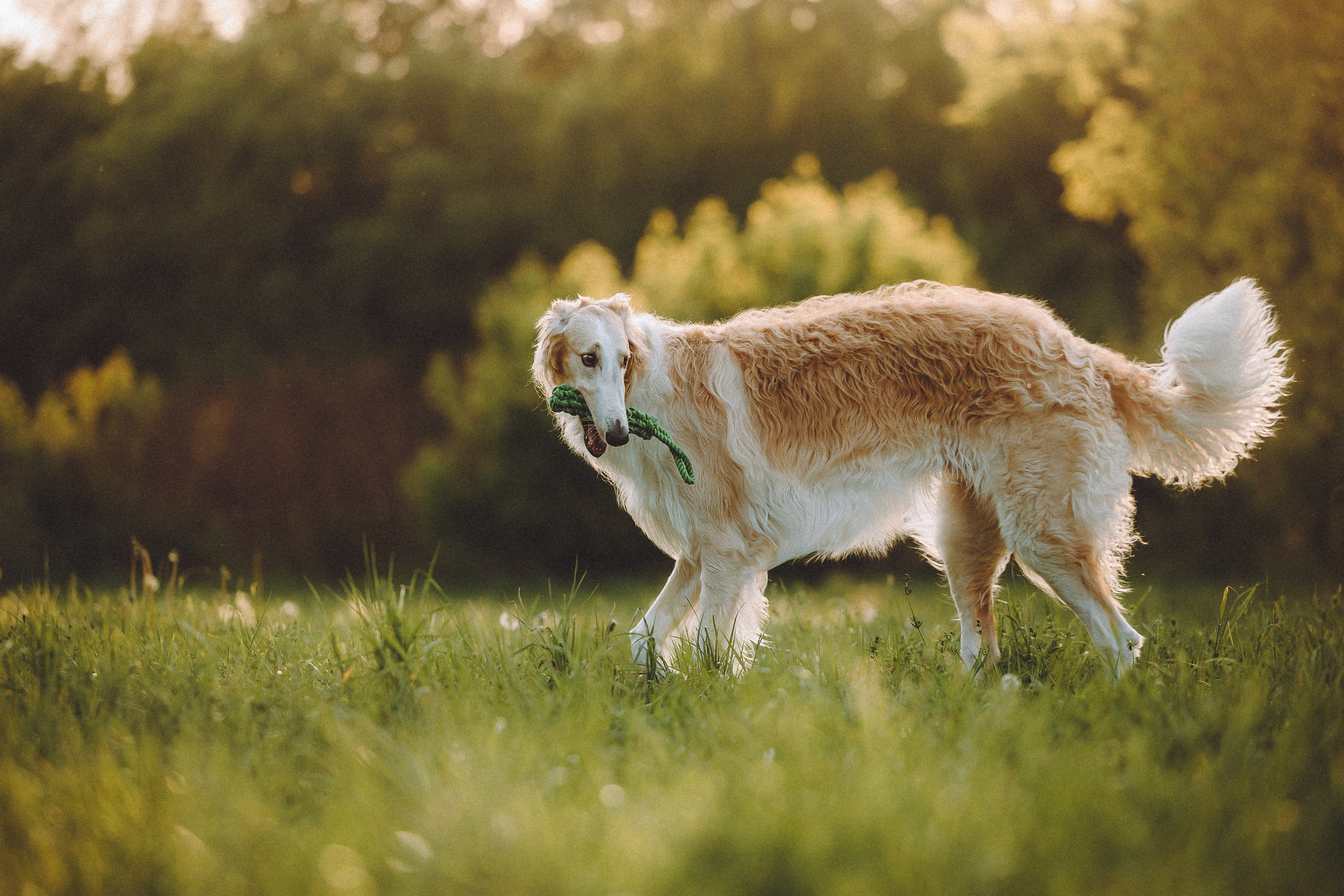 Илай, Зайка и их семья