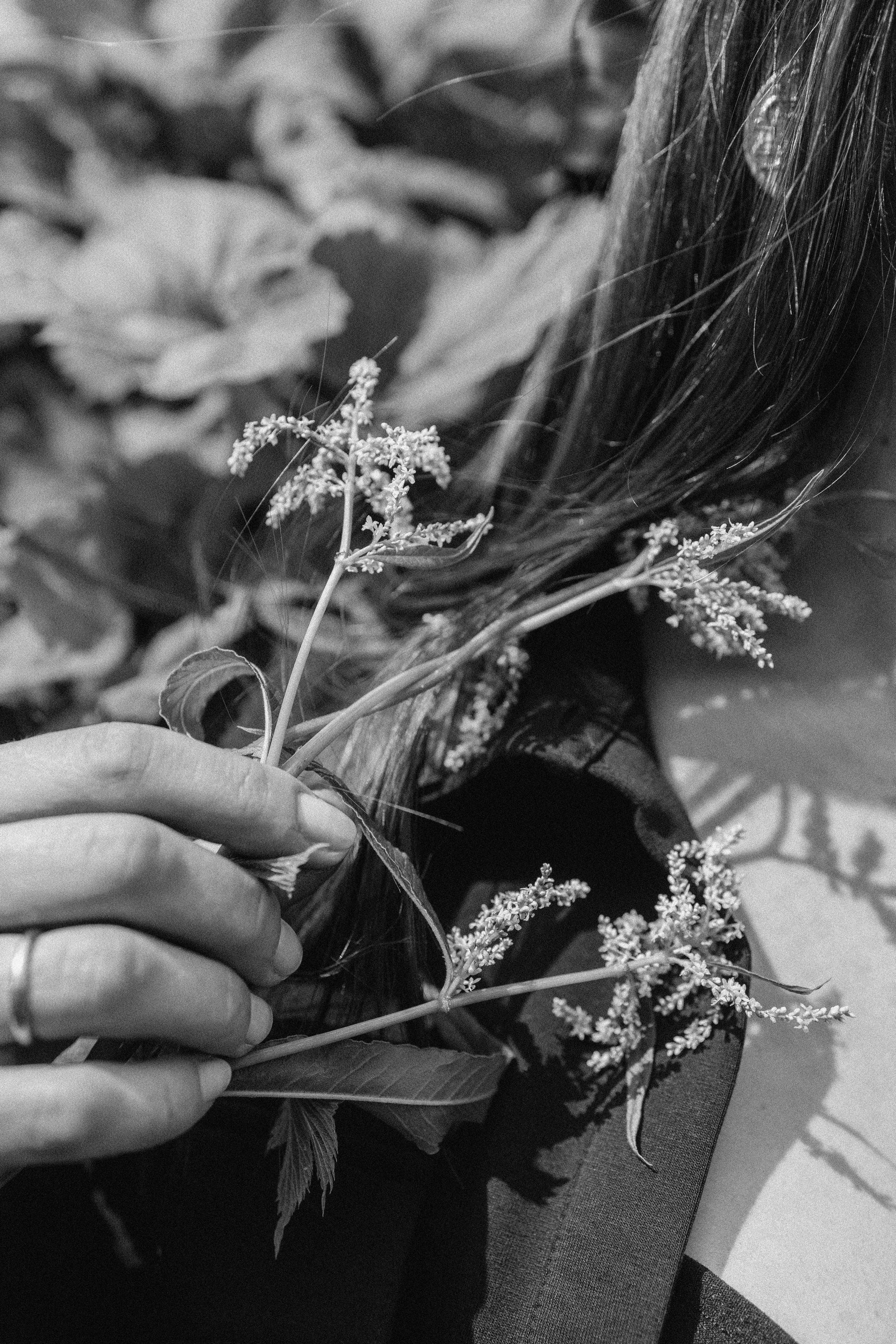 Эстетика П р о Я в л е н и я. Виноградова Маргарита. Фотограф P r o Явления