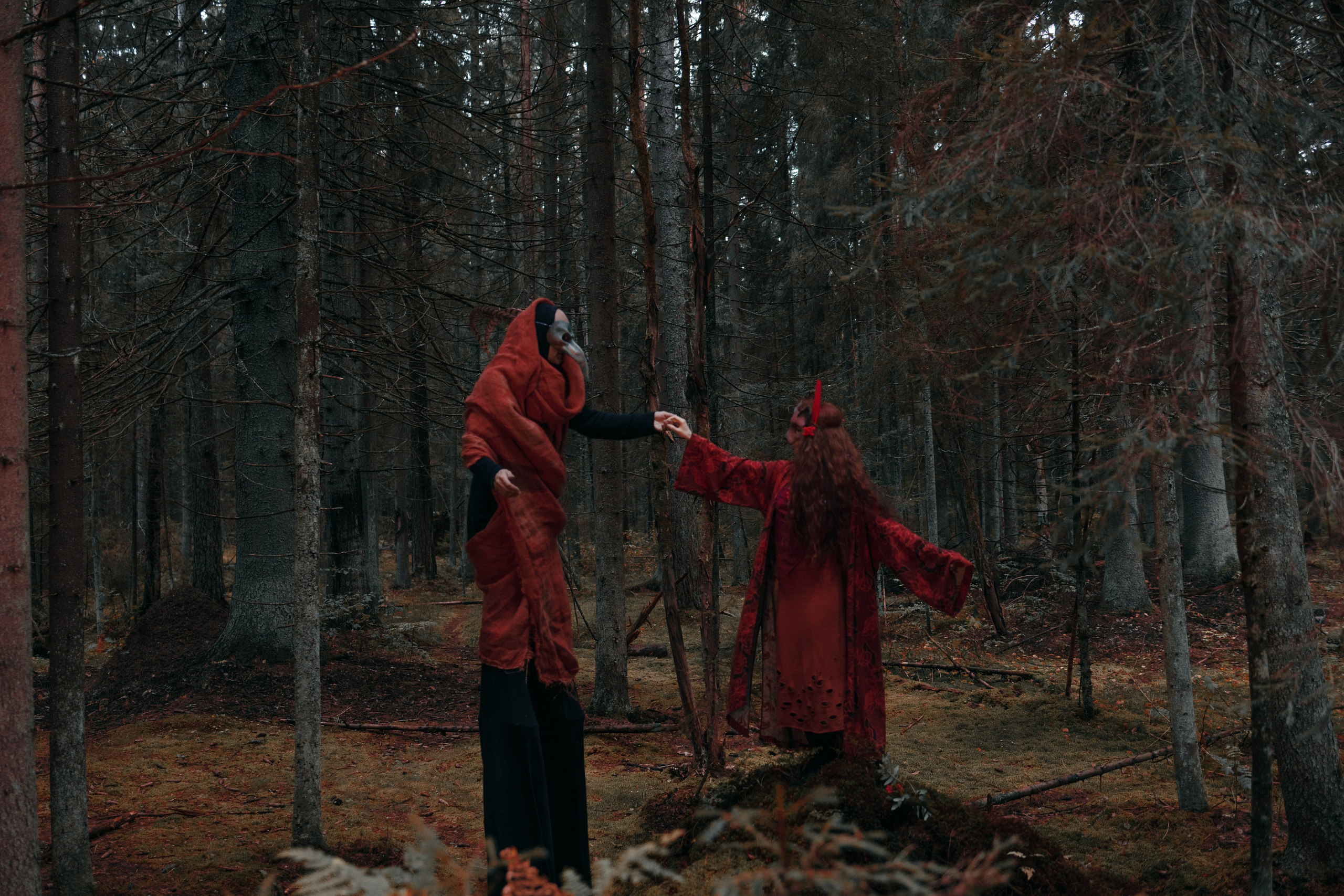 Огненная Лисица