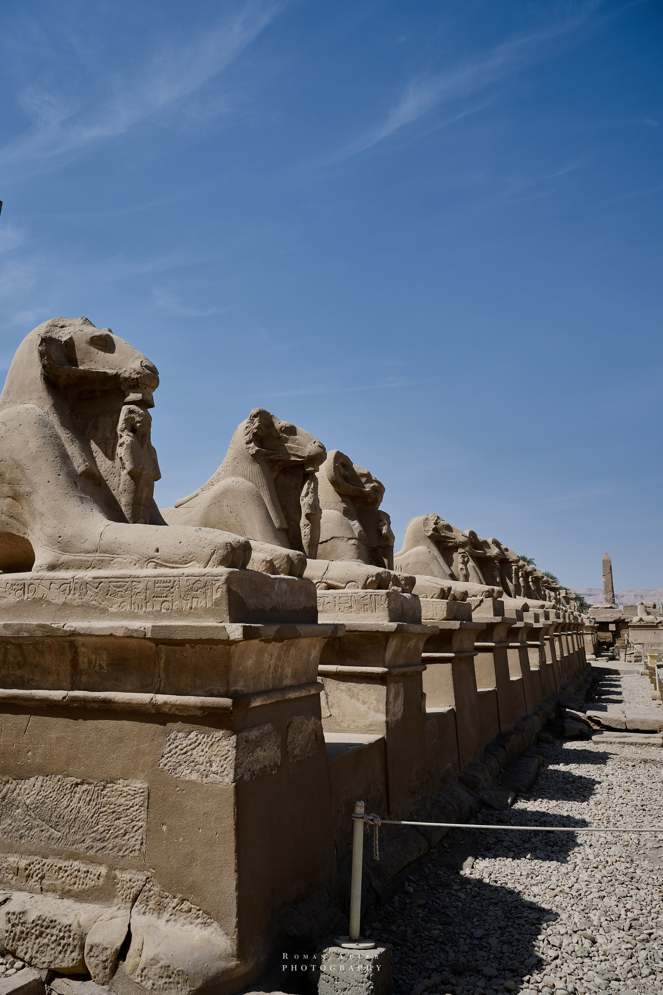 Луксор. Февраль 2025. Фотограф Роман Адлер