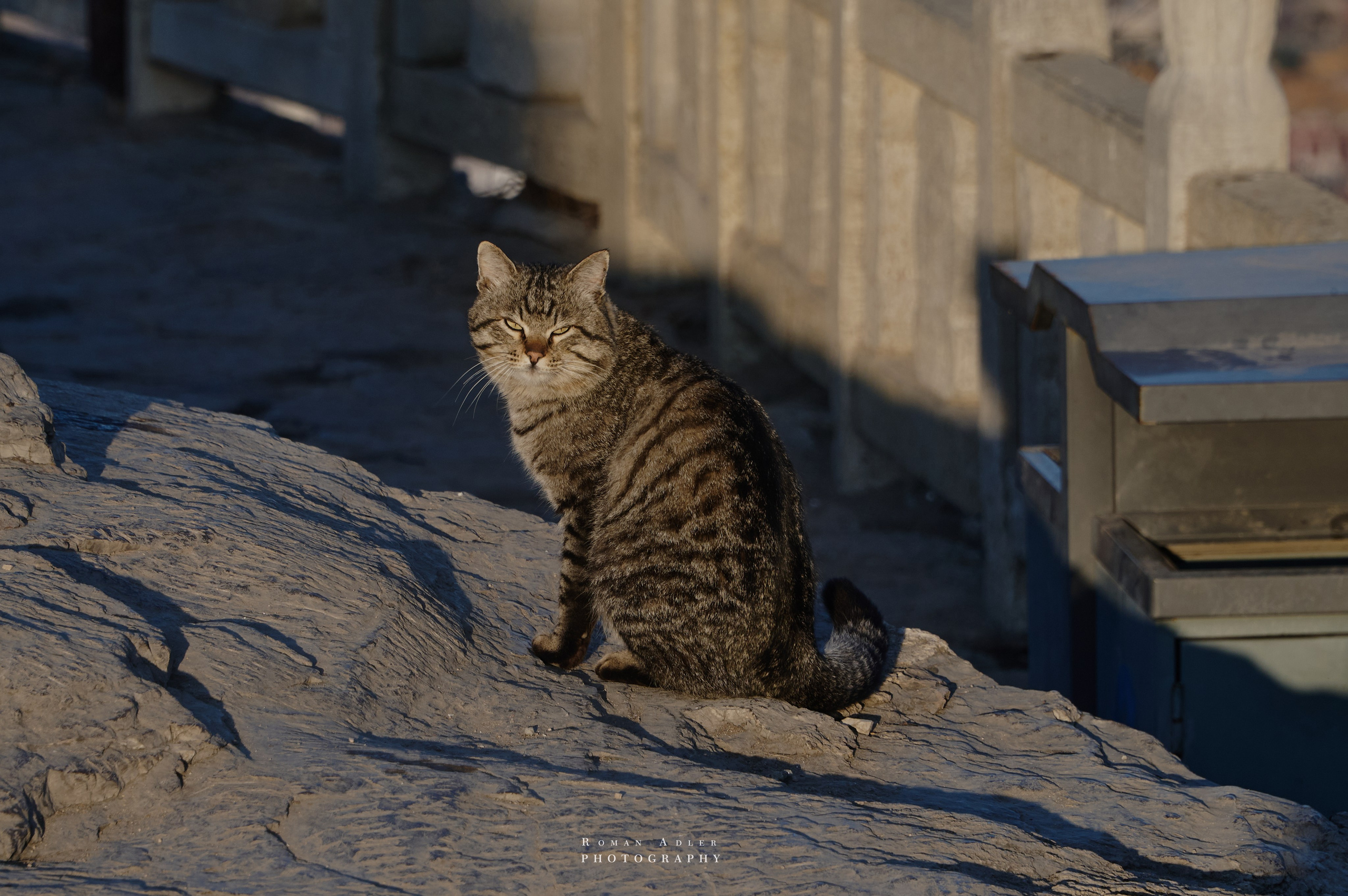 Рассвет на храмовой горе Юнмень. Цинчжоу. Фотограф Роман Адлер