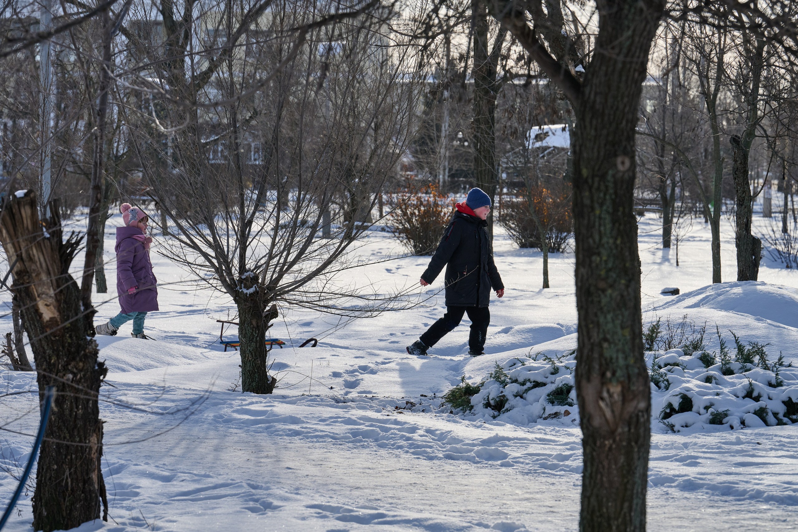 Северодонецк. Январь 2026. Фотограф Роман Адлер