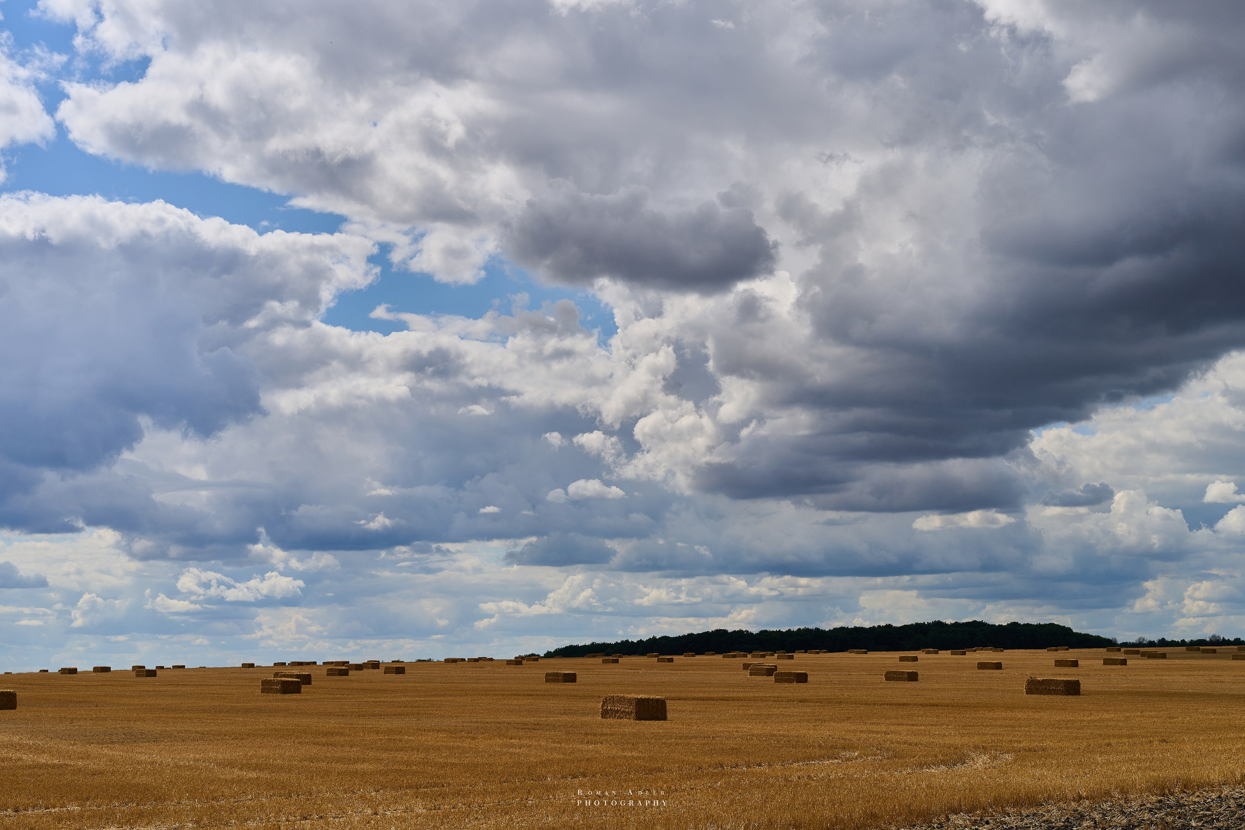 Воронеж. Август 2024. Фотограф Роман Адлер