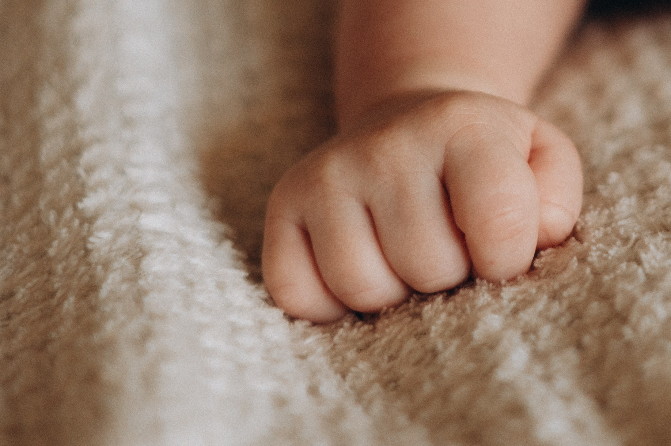 Семья Кутеповых (домашняя). Фотограф в Иркутске