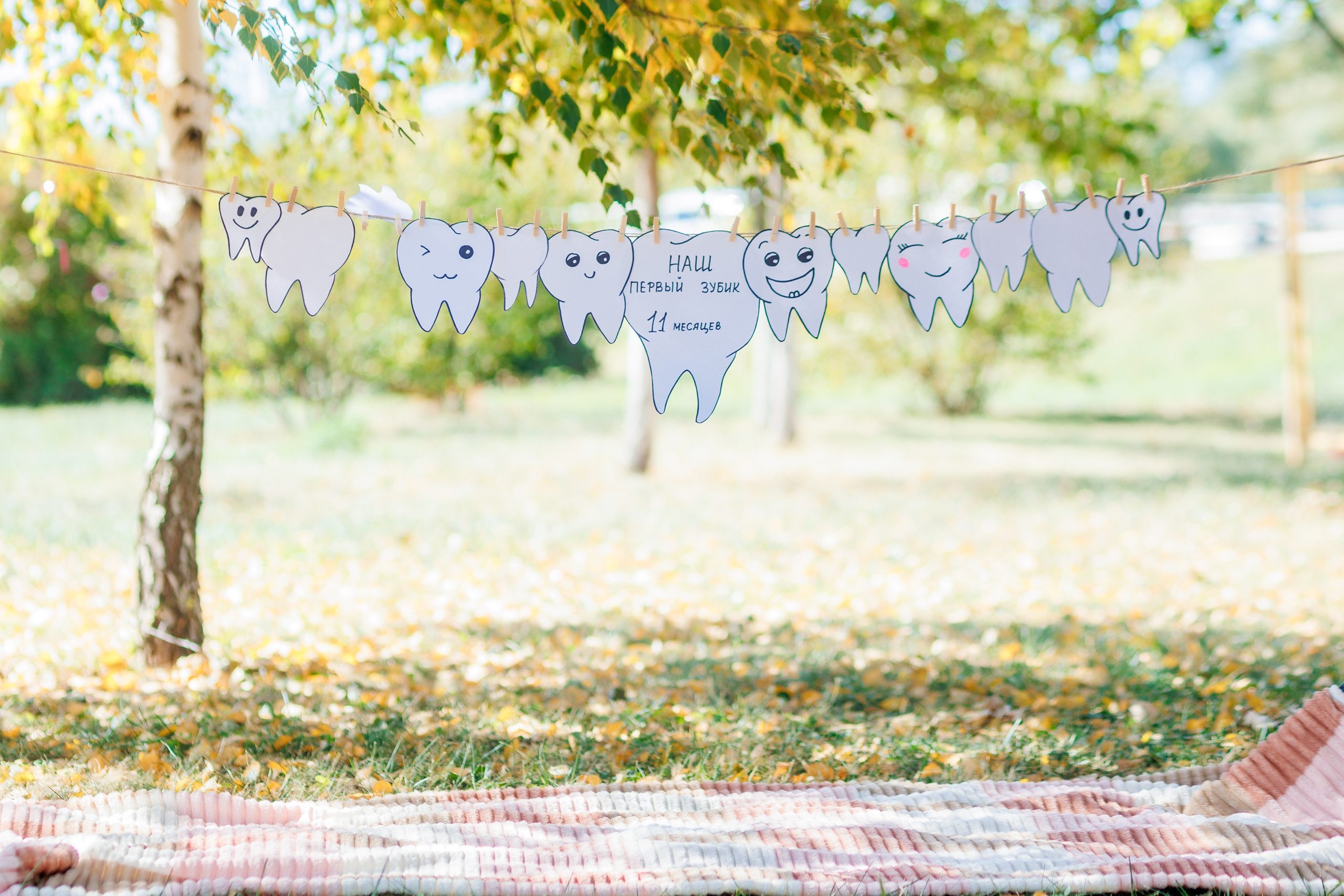 Первый зубик. Свадебный и семейный фотограф в Армавире