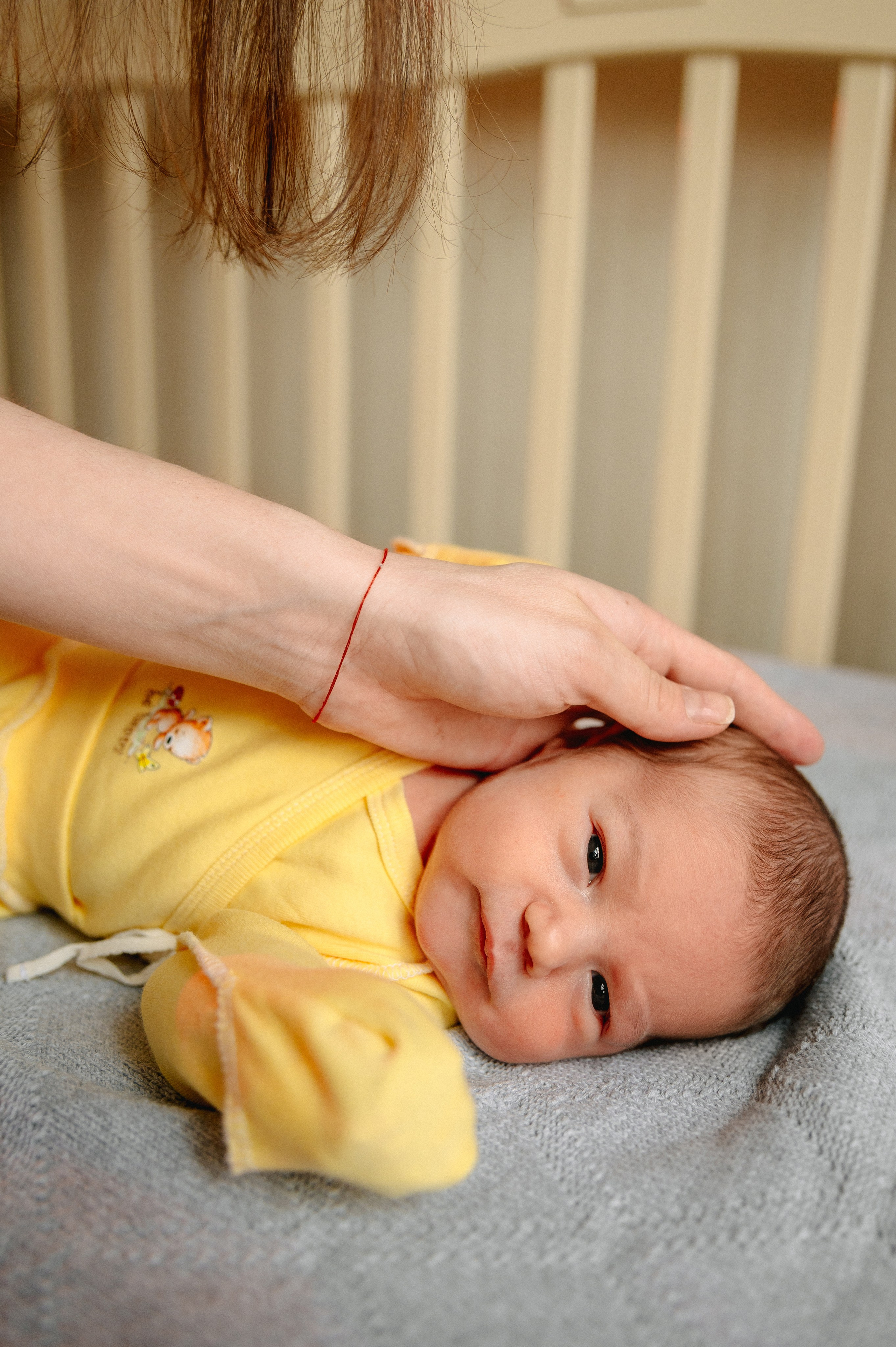 КАТЯ, КОЛЯ И ЗЛАТА. Шашкова Вероника / Свадебный и семейный фотограф Москва и Ярославль