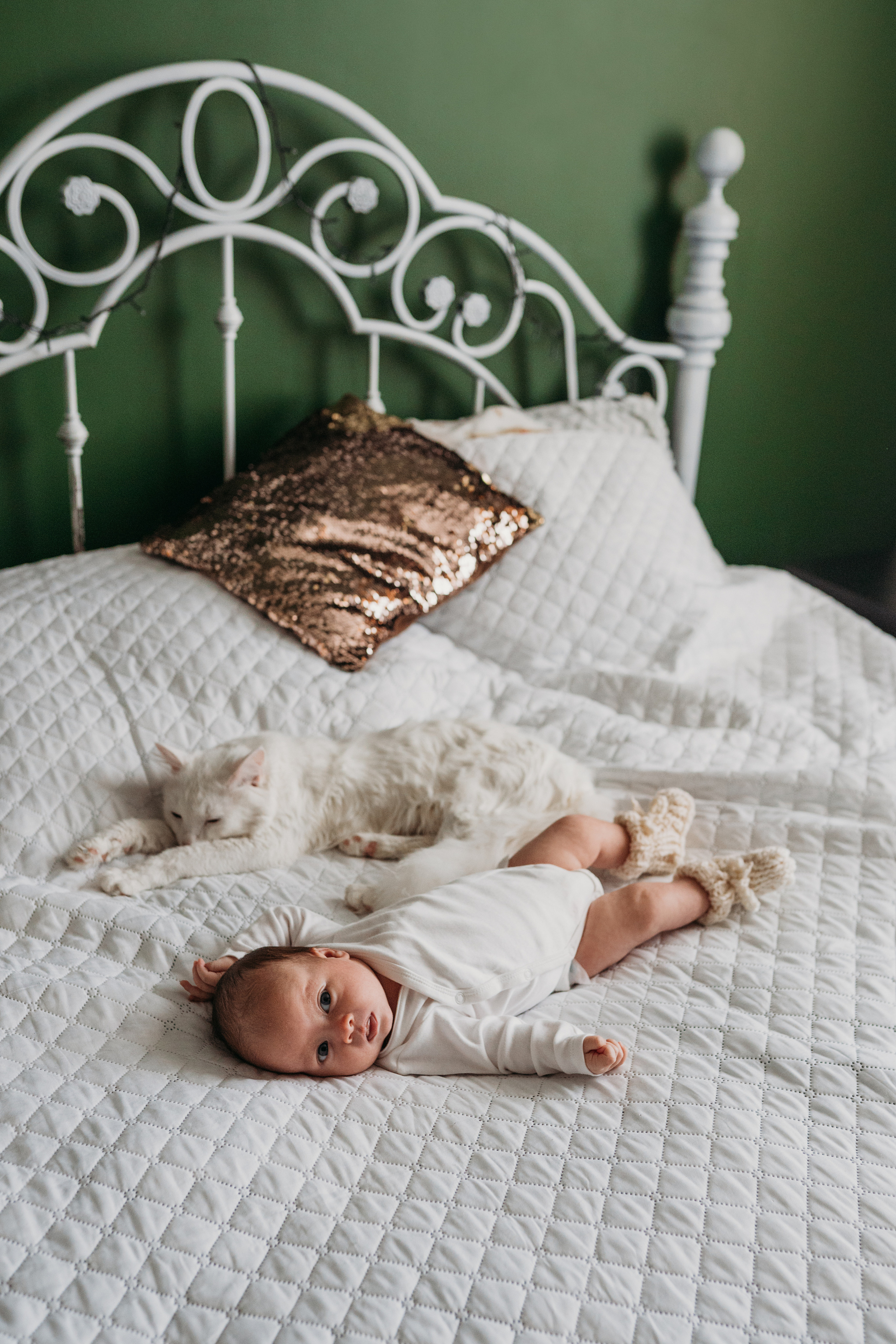 Каролина. Главная