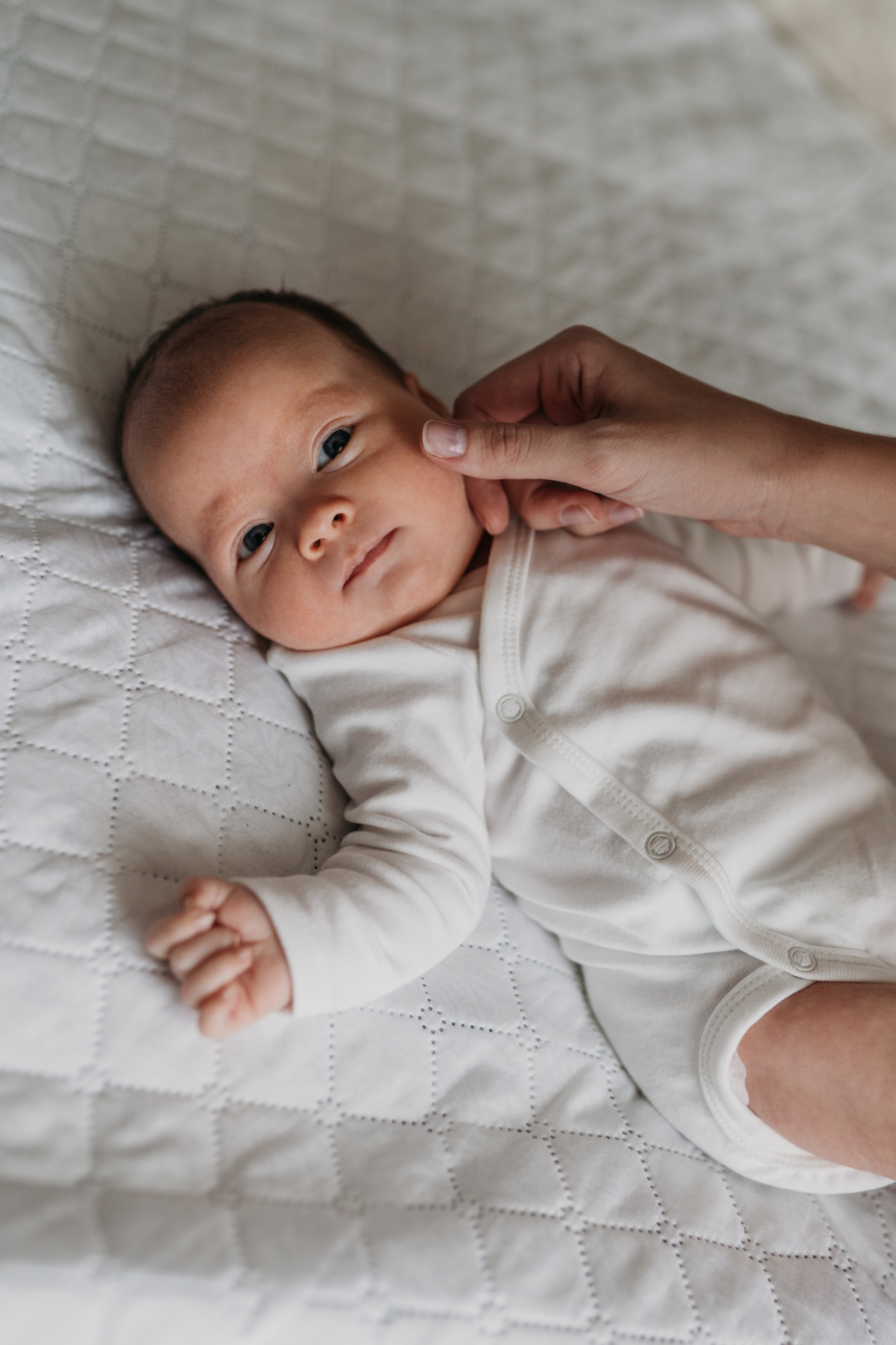 Каролина. Главная