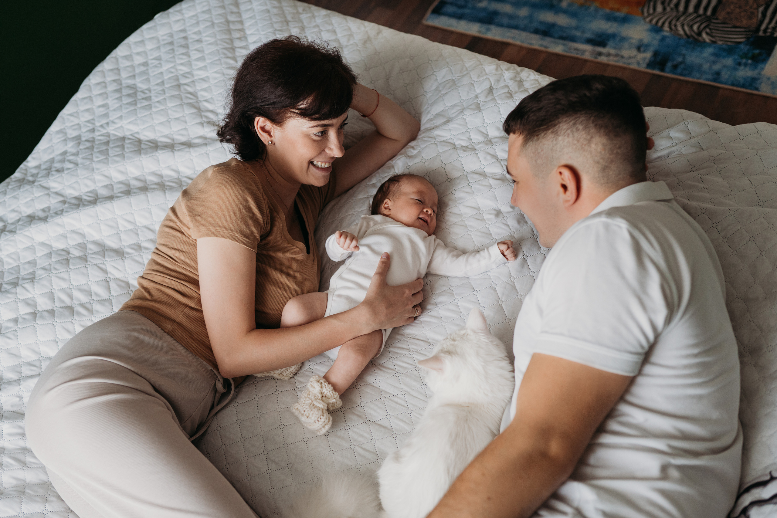 Каролина. Главная