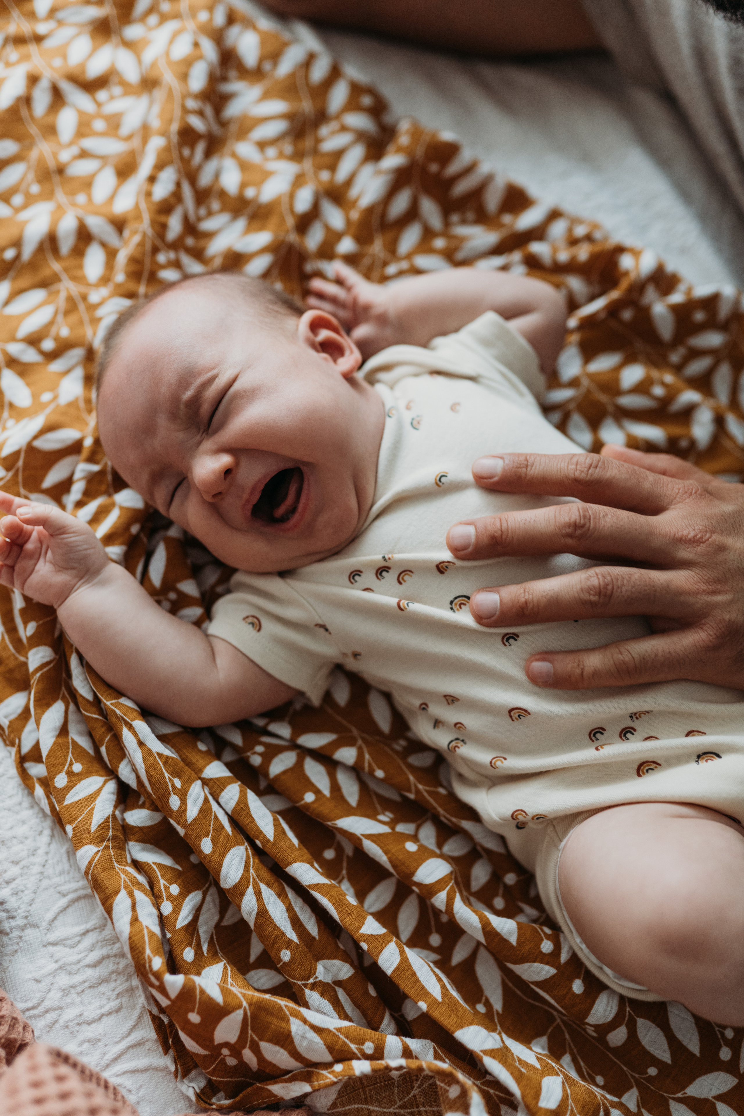 Даша. Главная