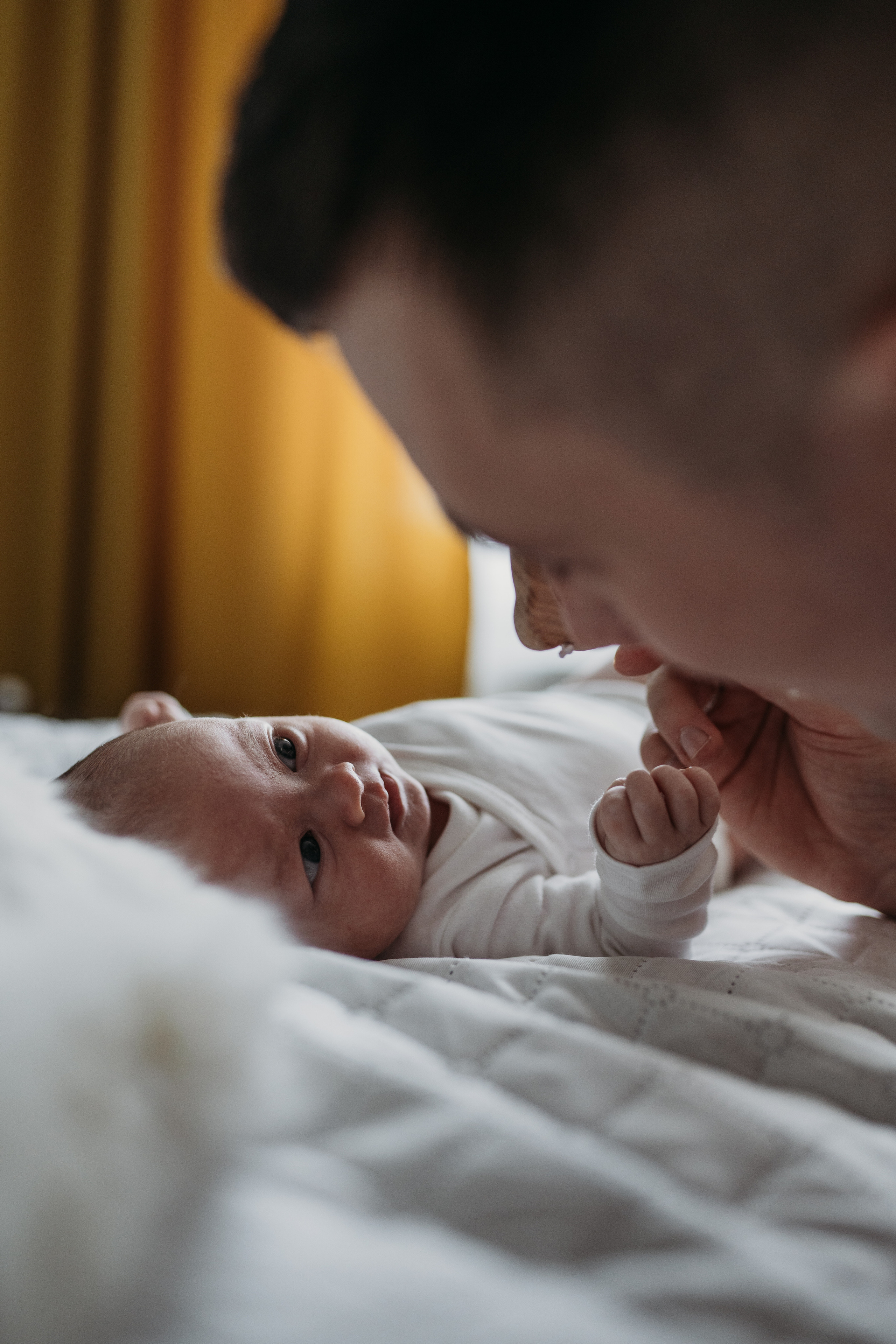 Каролина. Главная