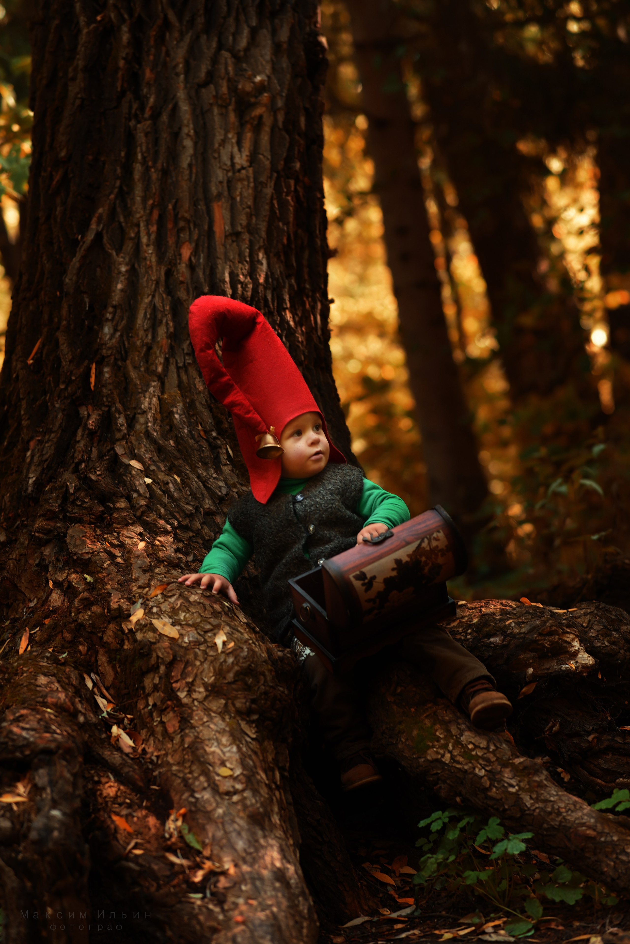 Детская, Лесной гномик. Свадебный, семейный, детский, контент фотограф в Омске Максим Ильин
