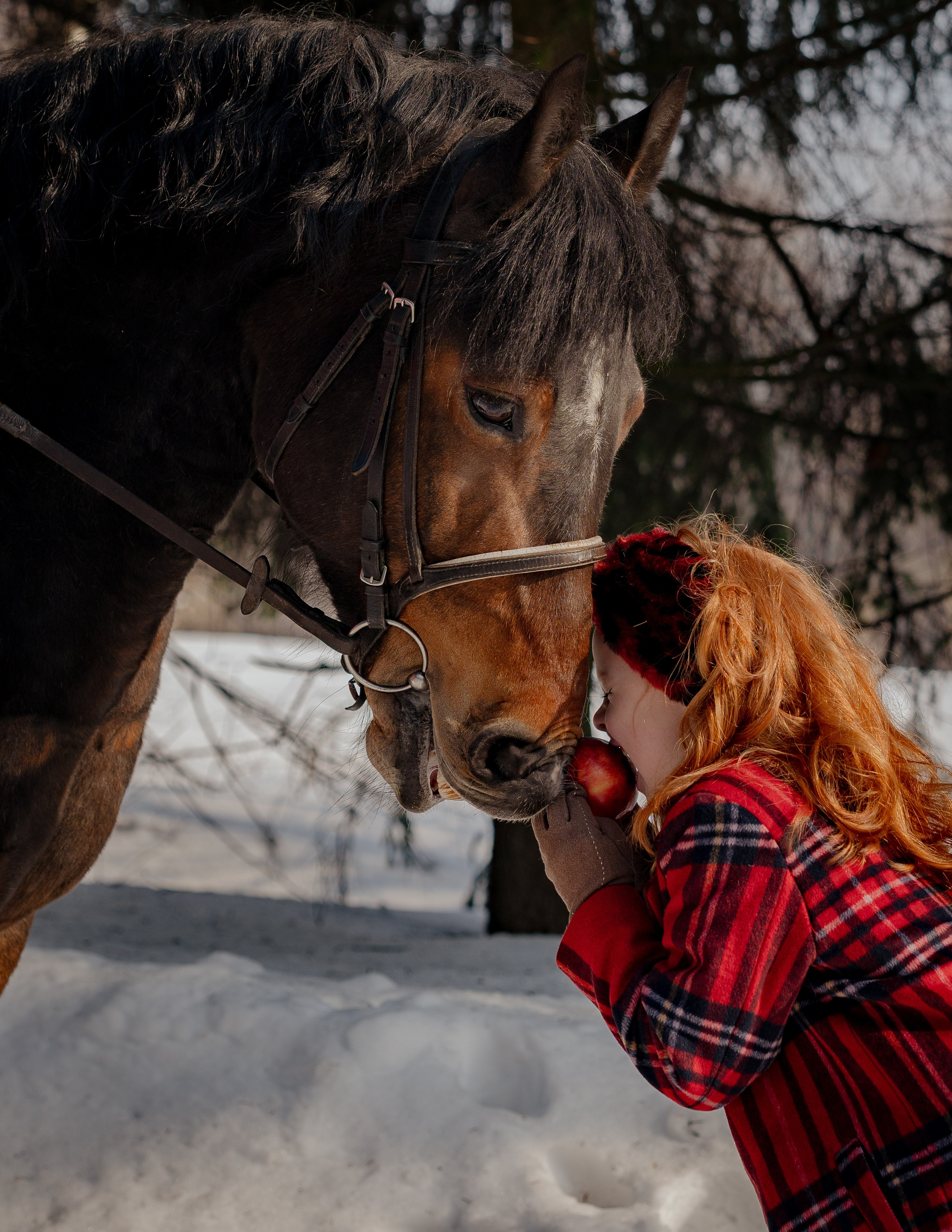 Karolina-съемка для диплома на курсе Ирины Заргано. Портретный и семейный фотограф в Москве/Видное