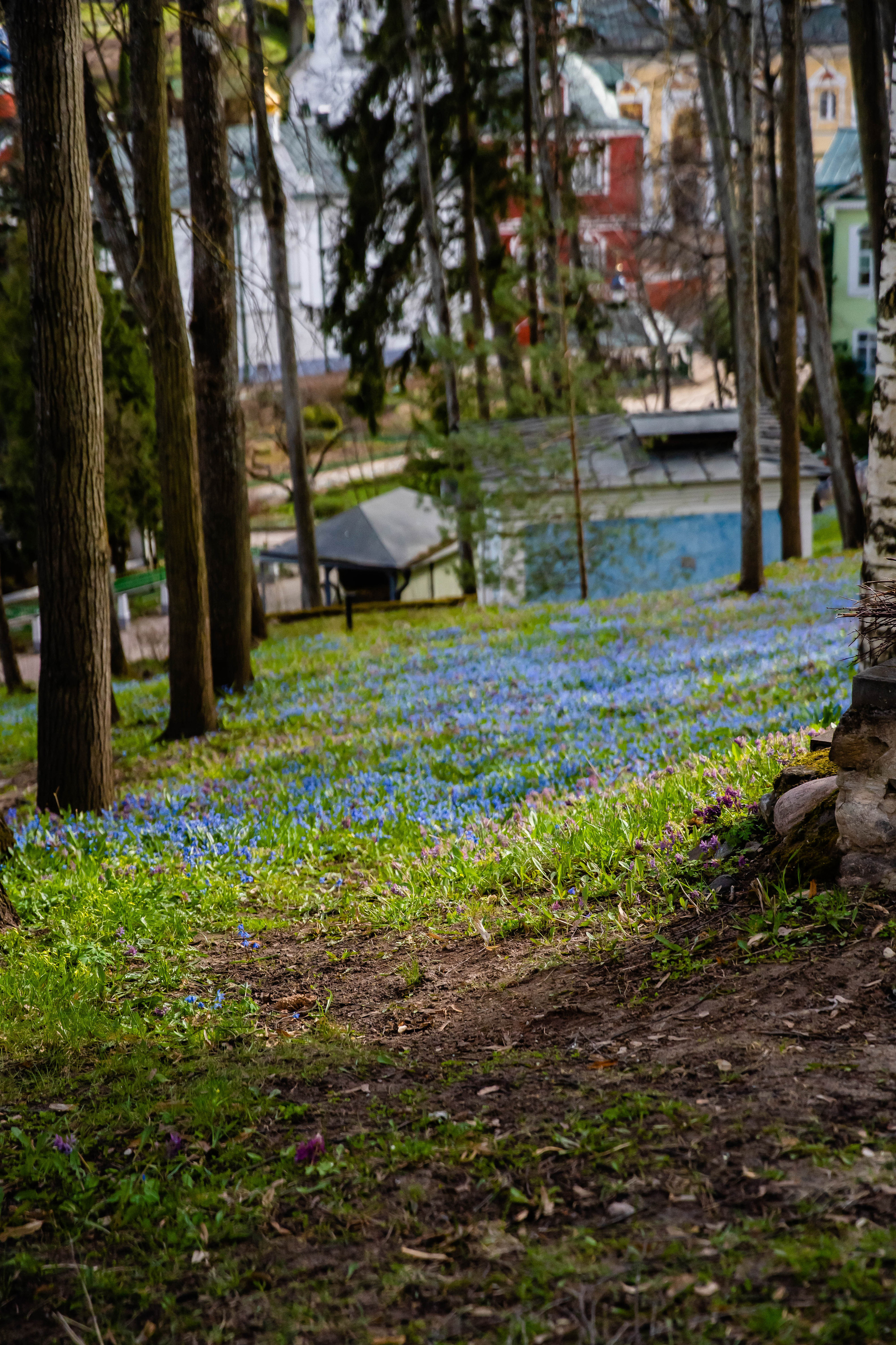 Фотограф в путешествие. Фотограф в Санкт-Петербурге Маргарита Мирошниченко