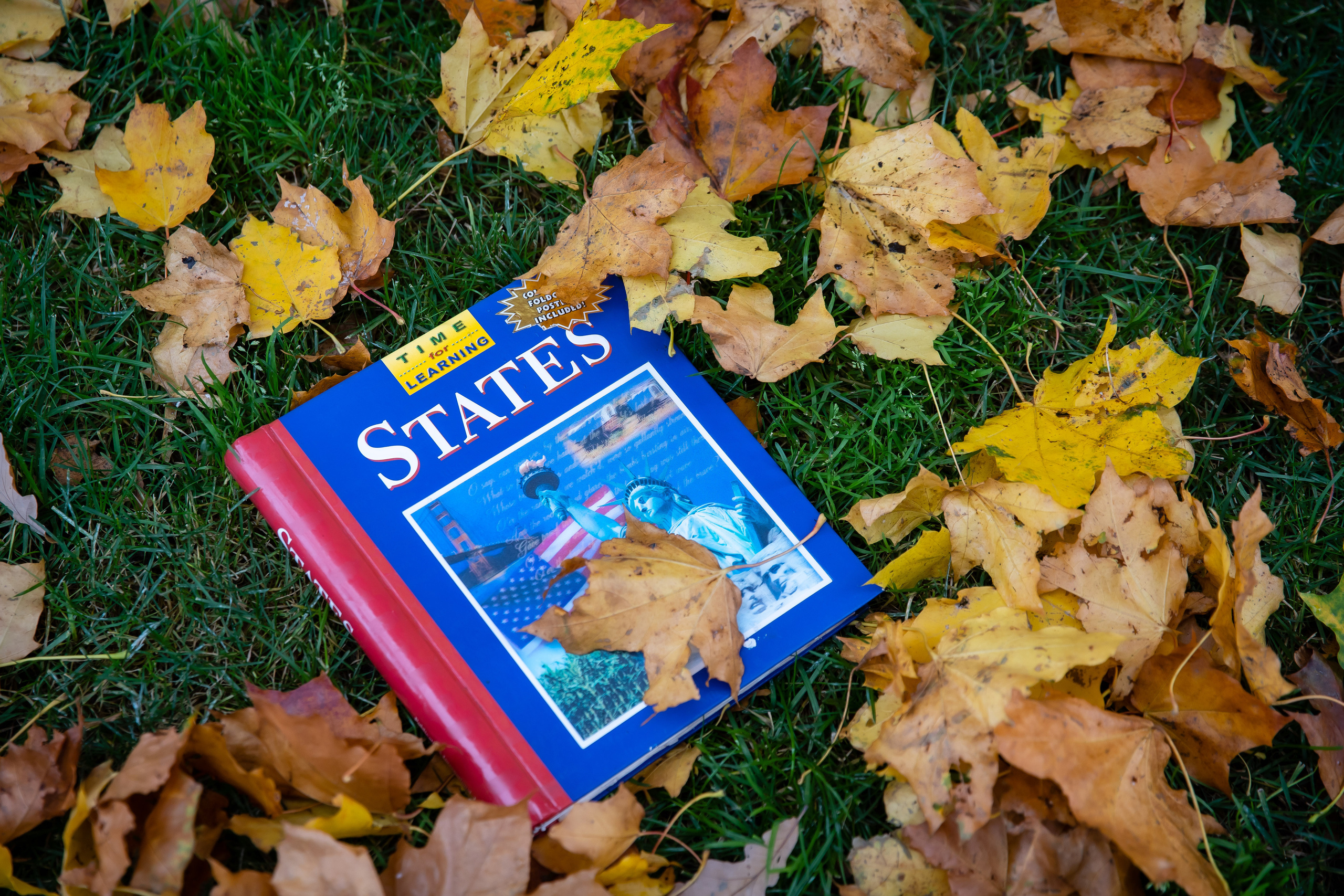 Фотографии Новая Голландия. Фотограф в Санкт-Петербурге Маргарита Мирошниченко