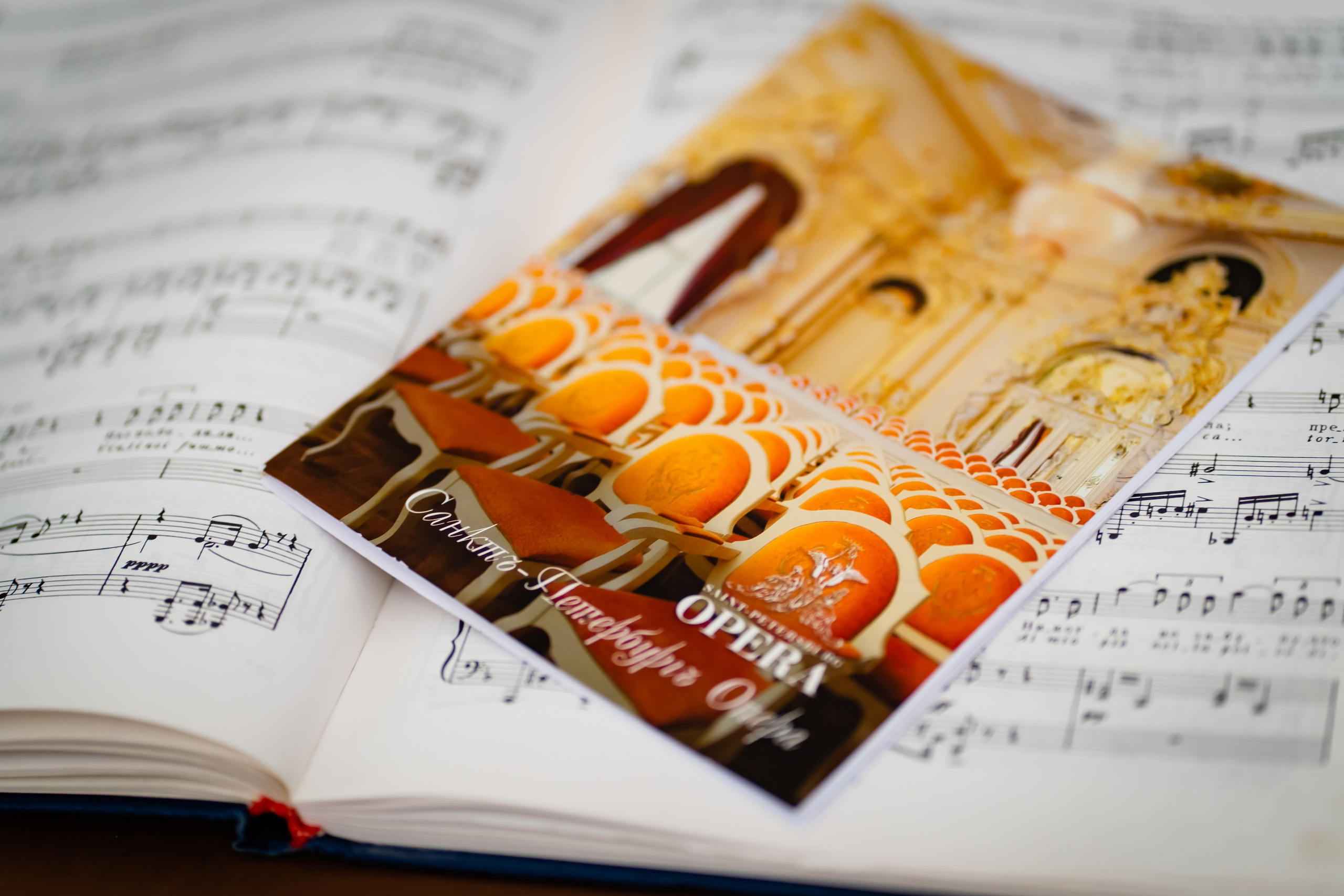 Фотограф спб. Фотограф в Санкт-Петербурге Маргарита Мирошниченко