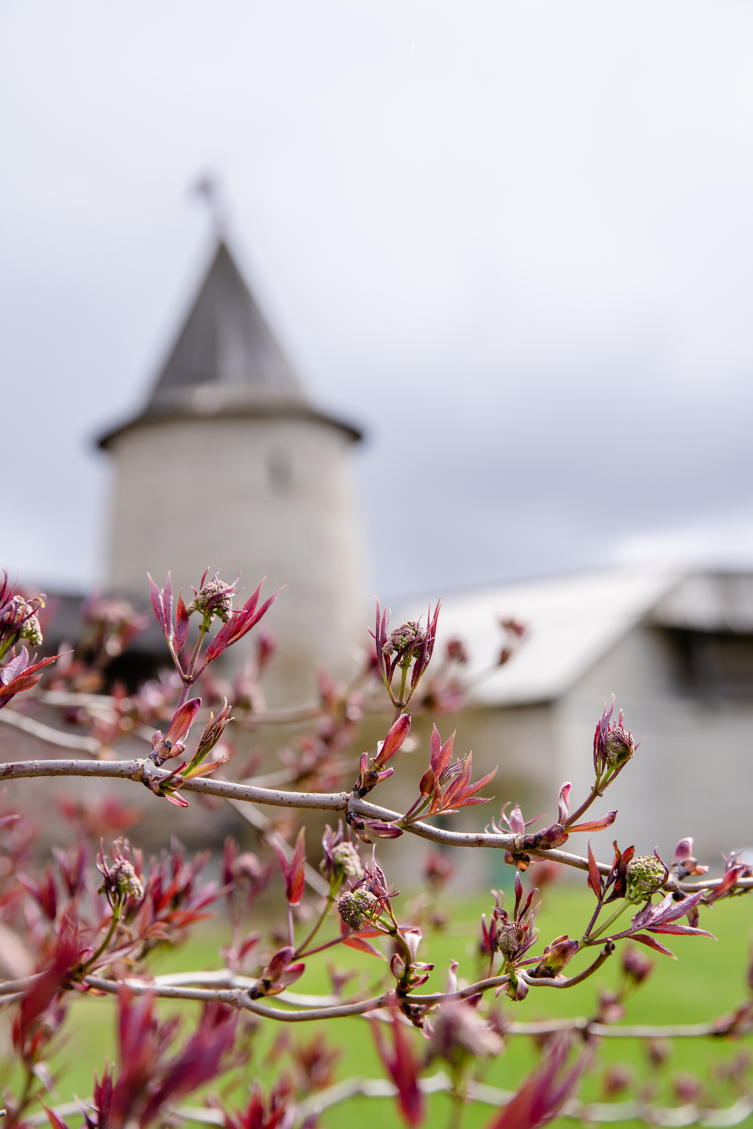Фотограф в путешествие. Фотограф в Санкт-Петербурге Маргарита Мирошниченко