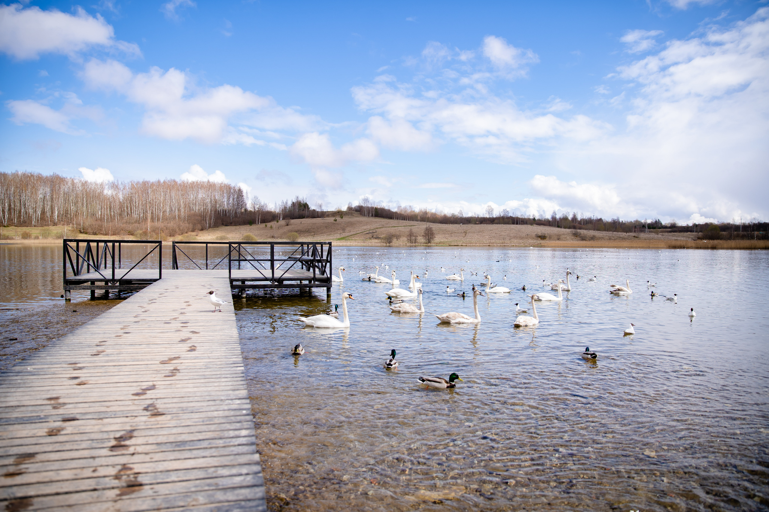 Фотограф в путешествие. Фотограф в Санкт-Петербурге Маргарита Мирошниченко