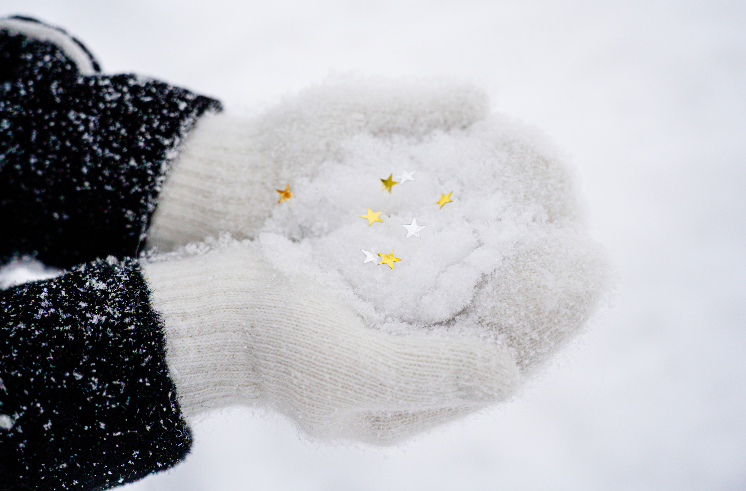 Зомняя фотосессия санкт-петербург. Фотограф в Санкт-Петербурге Маргарита Мирошниченко