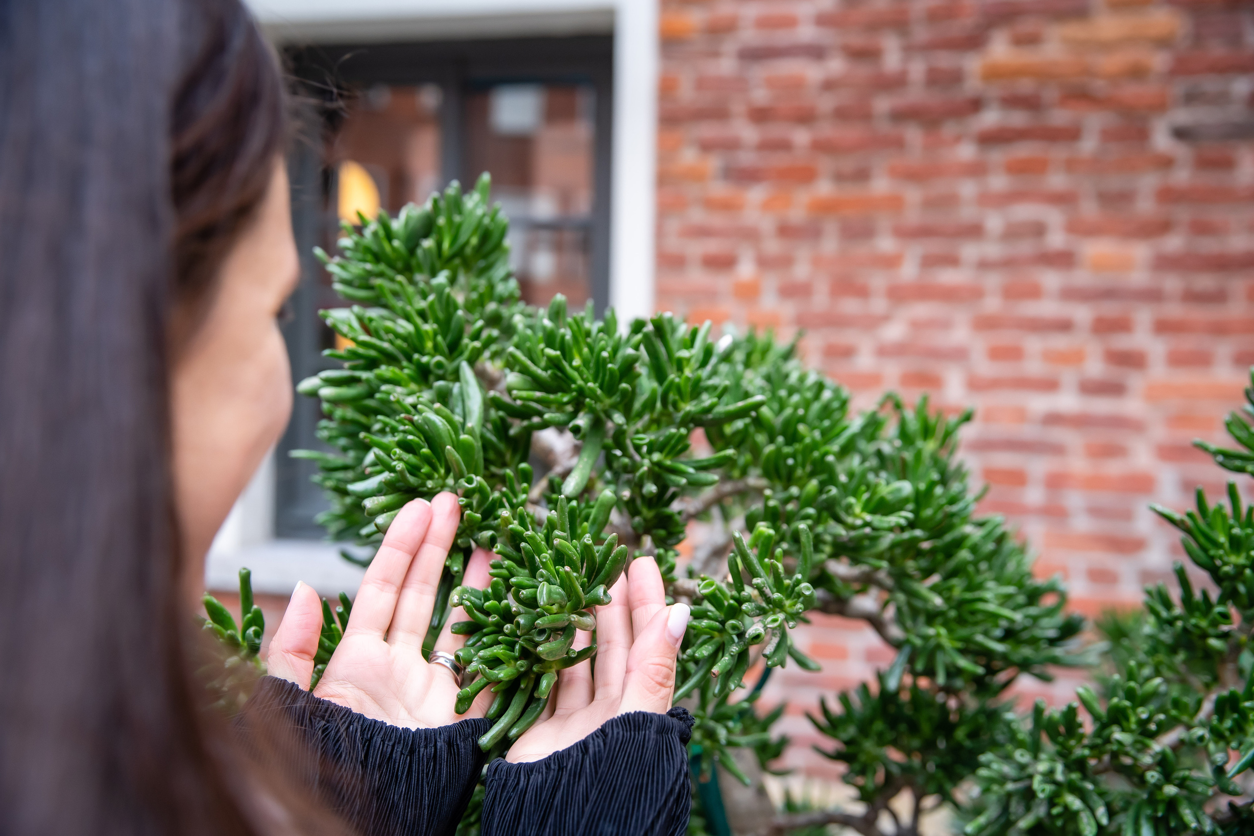 Фотографии Новая Голландия. Фотограф в Санкт-Петербурге Маргарита Мирошниченко